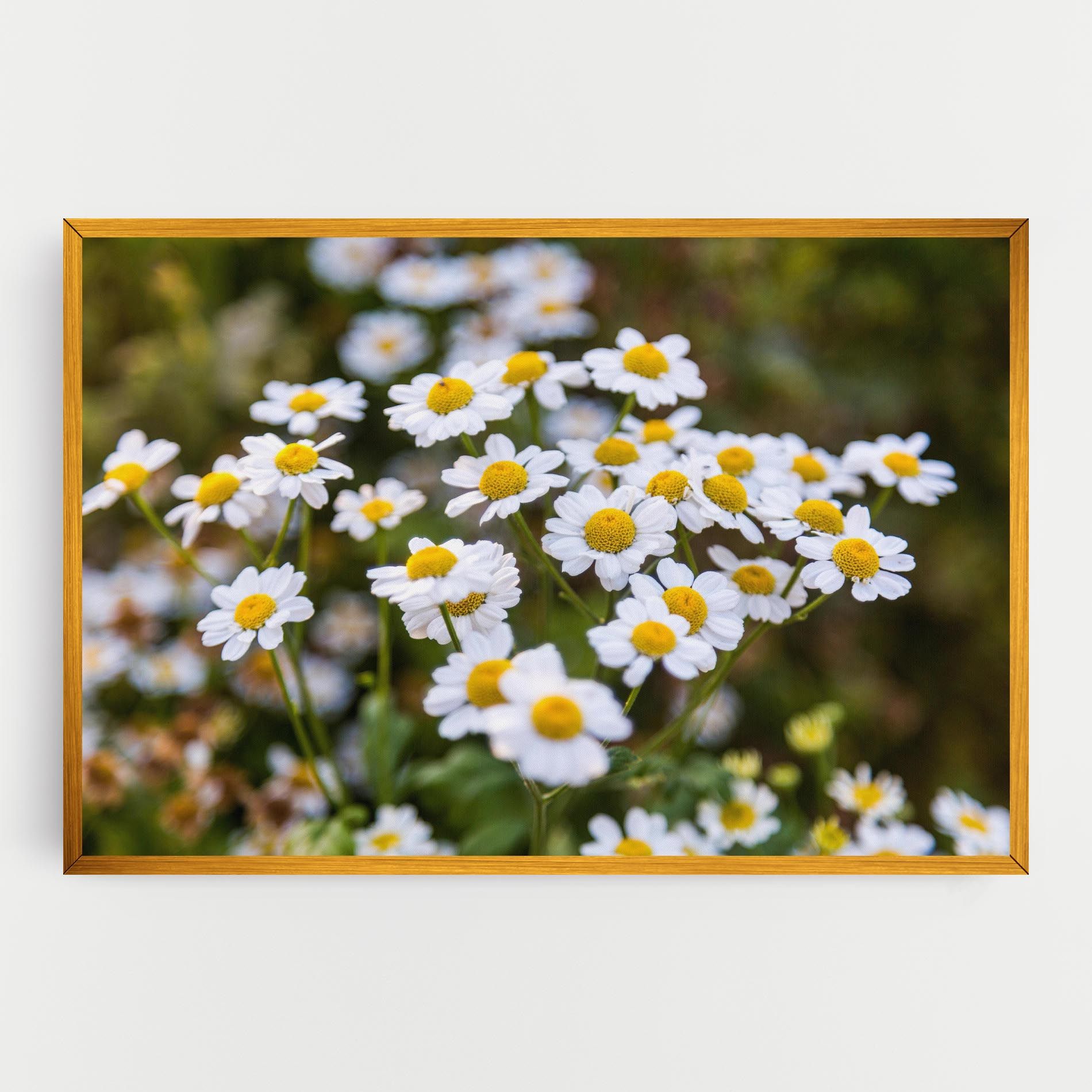 Flowers Garden mockup 0