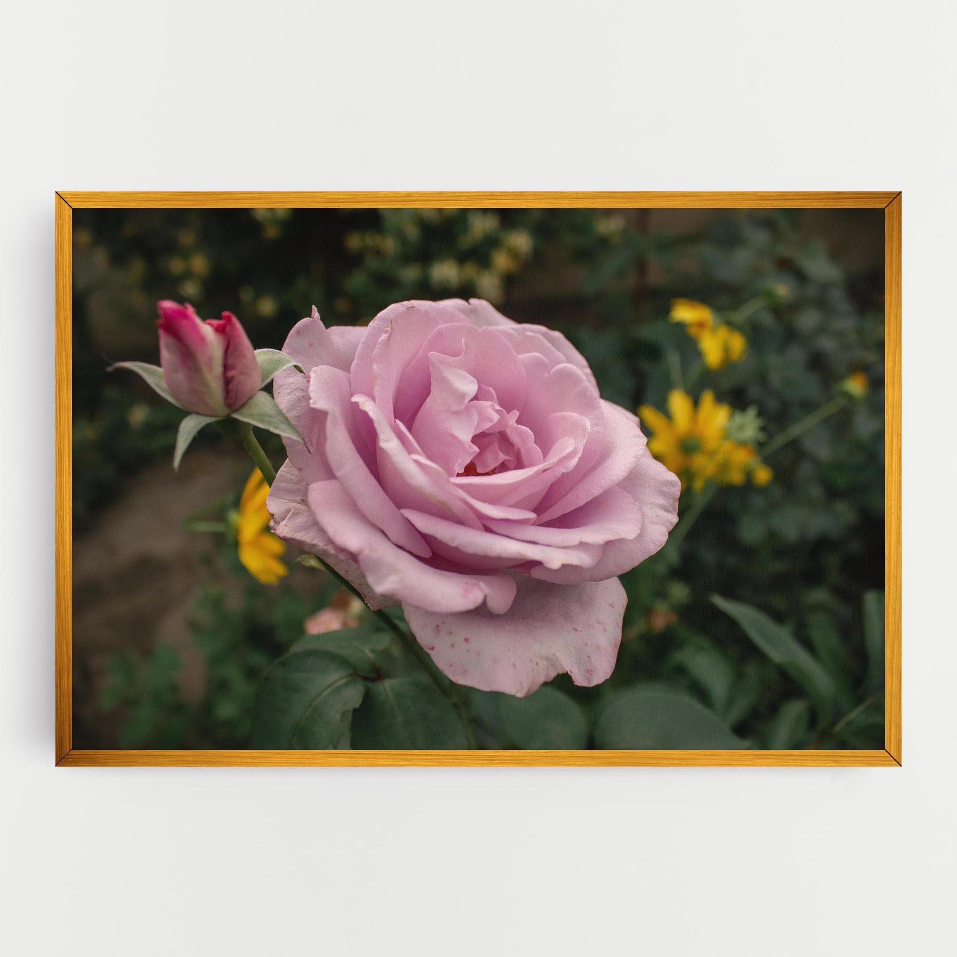 Garden Pink Rose mockup 0