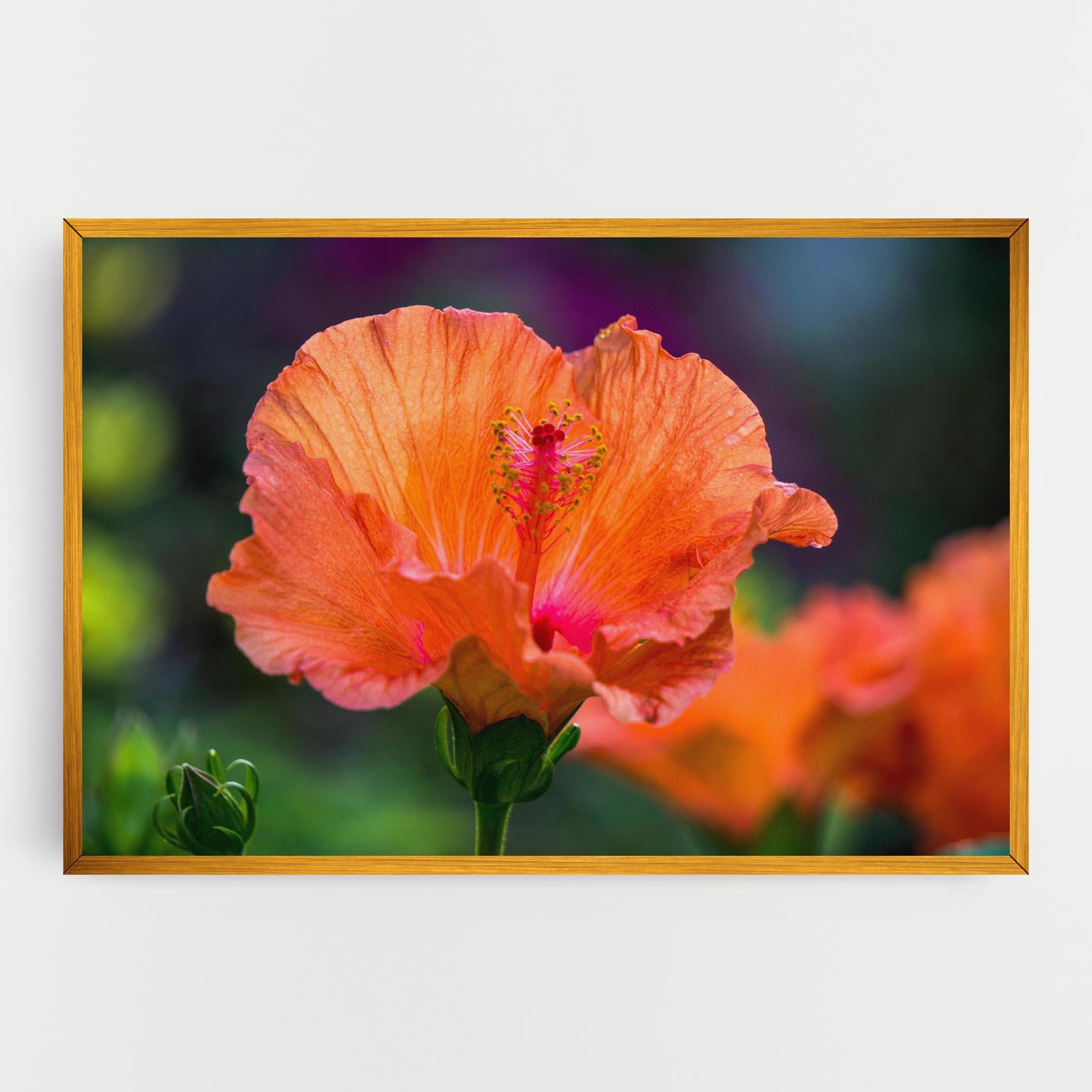 Leinwandbild Orange Wild Flower mockup 0