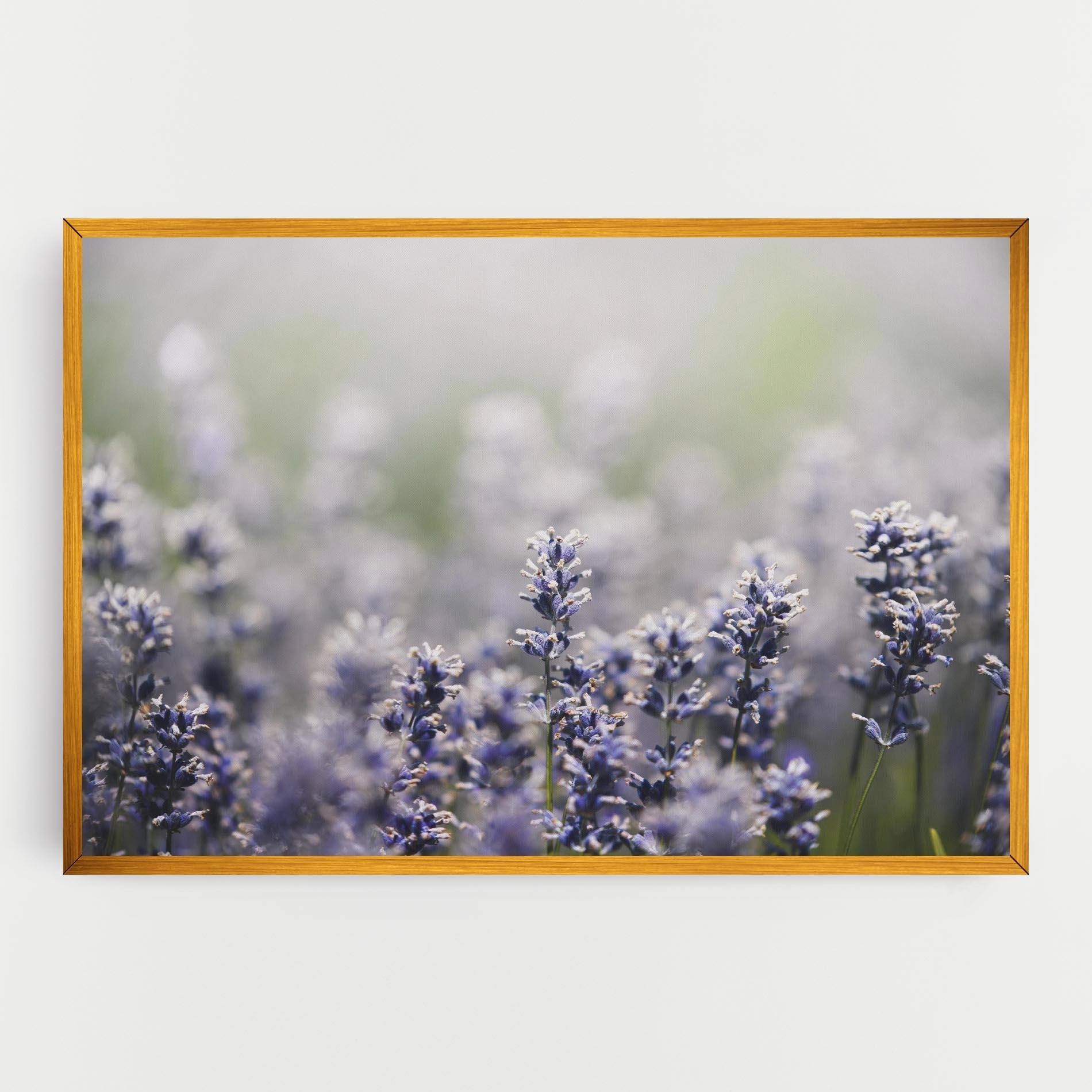 Leinwandbild White Purple Wild mockup 0