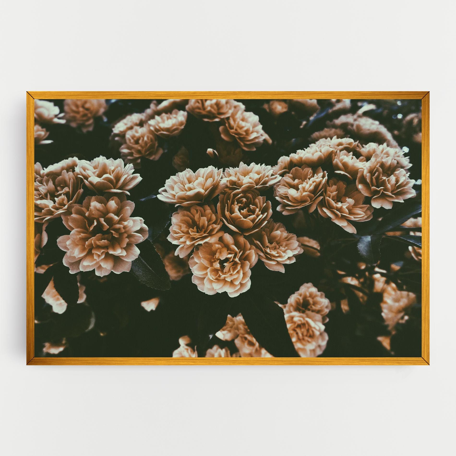 Wild Cream Flower mockup 0