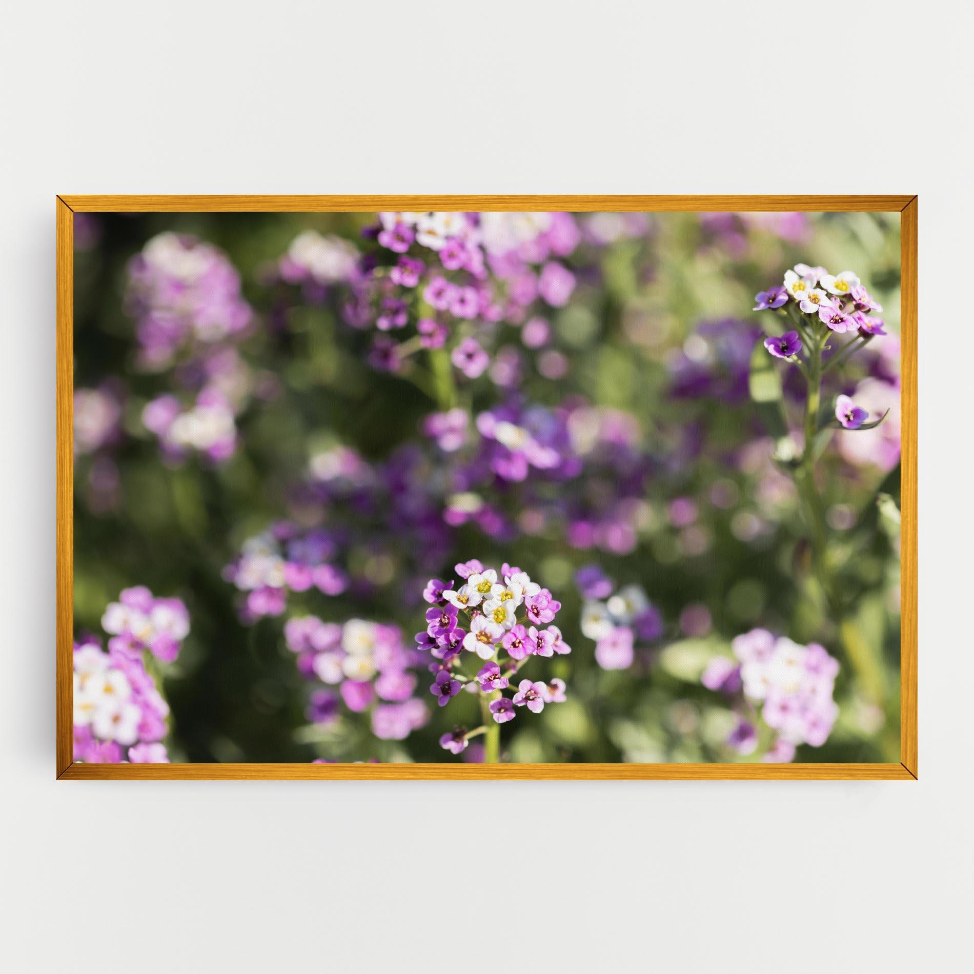Leinwandbild Wild Purple Field mockup 0