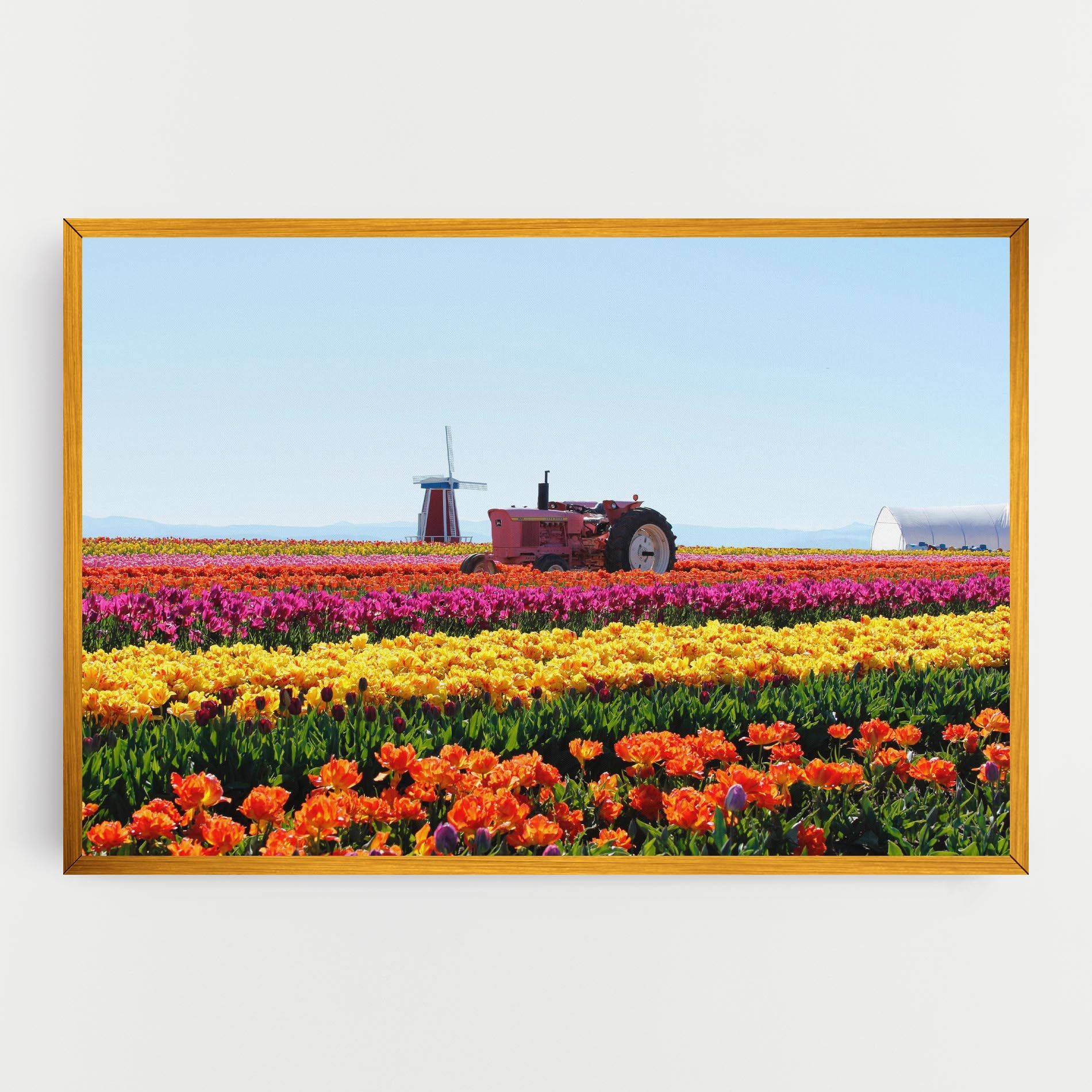 Working Wild Field mockup 0