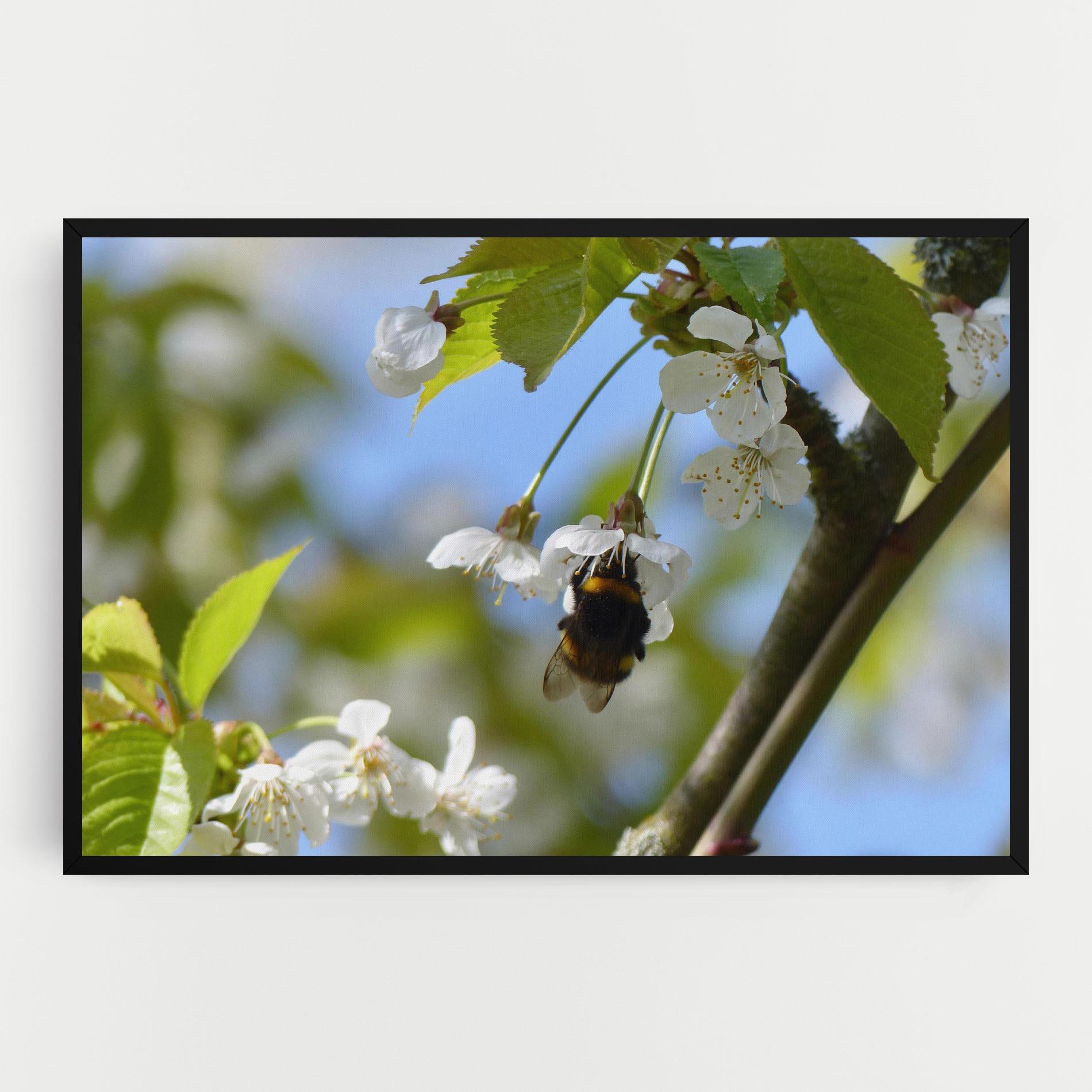 Leinwandbild Bee Wild Tree mockup 0