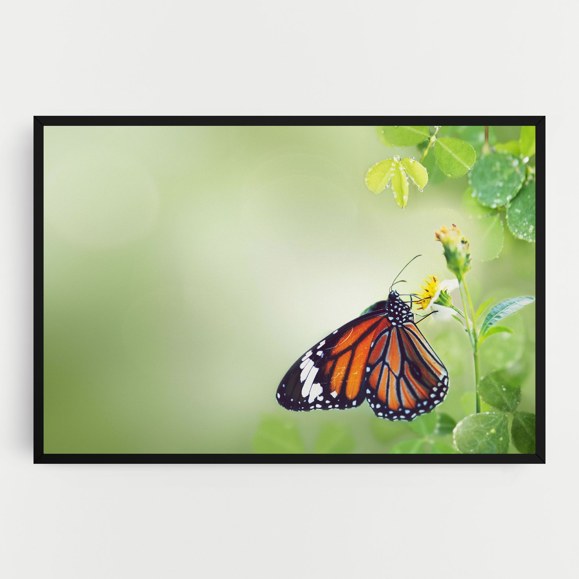 Butterfly Wild Plant mockup 0