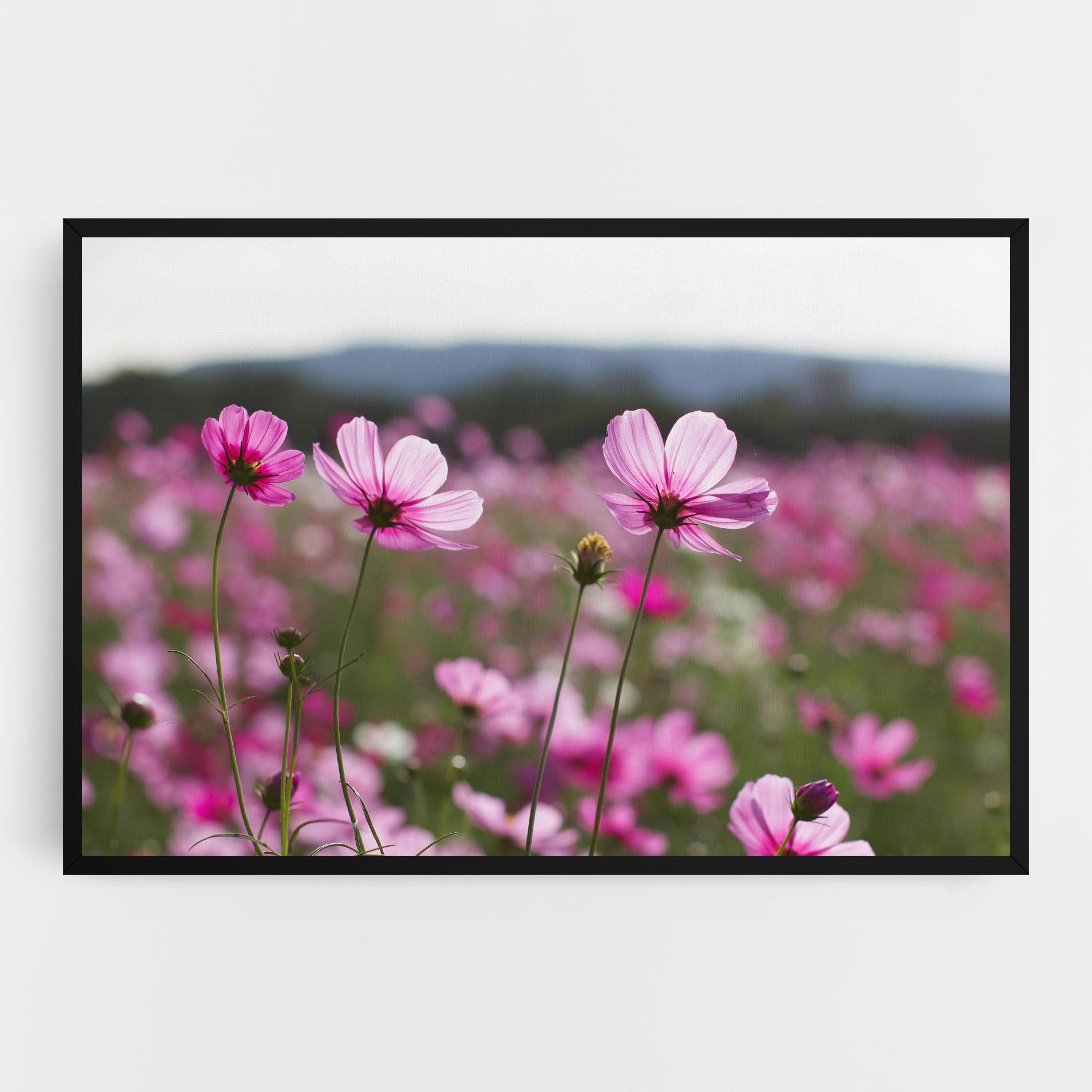 Leinwandbild Cosmos Flower mockup 0