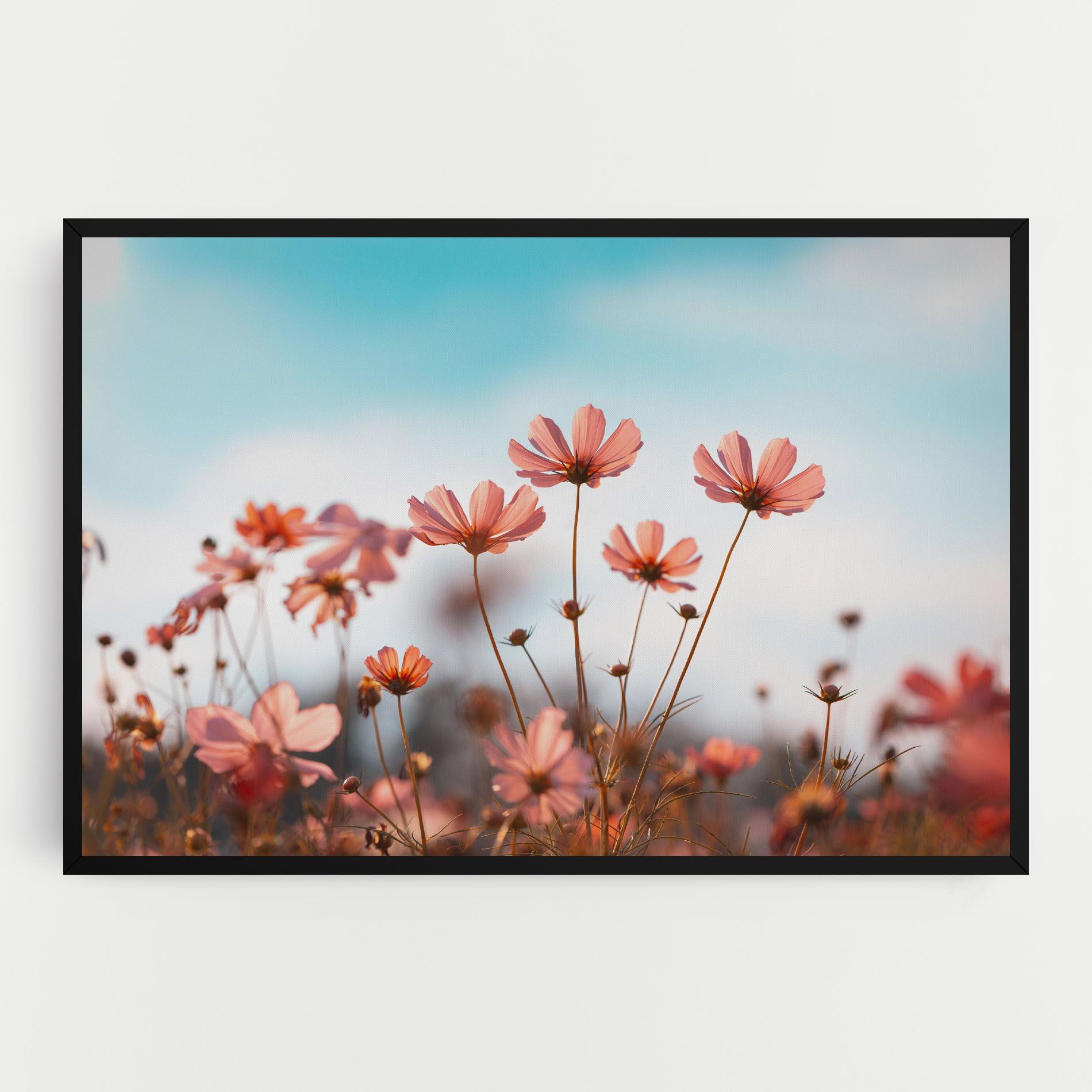 Cosmos Flowers Beautiful mockup 0