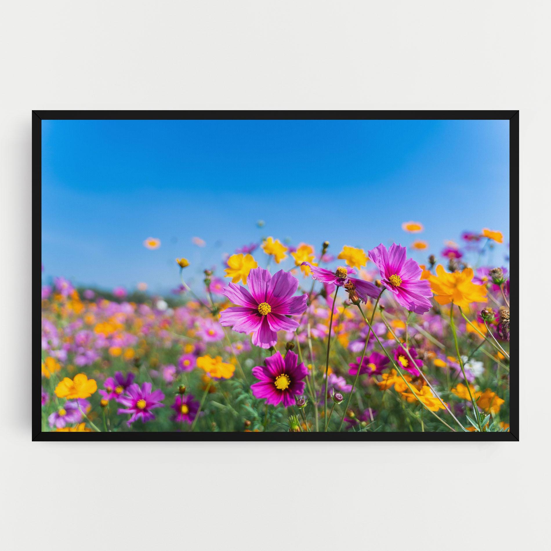 Leinwandbild Cosmos Flowers Grassland mockup 0