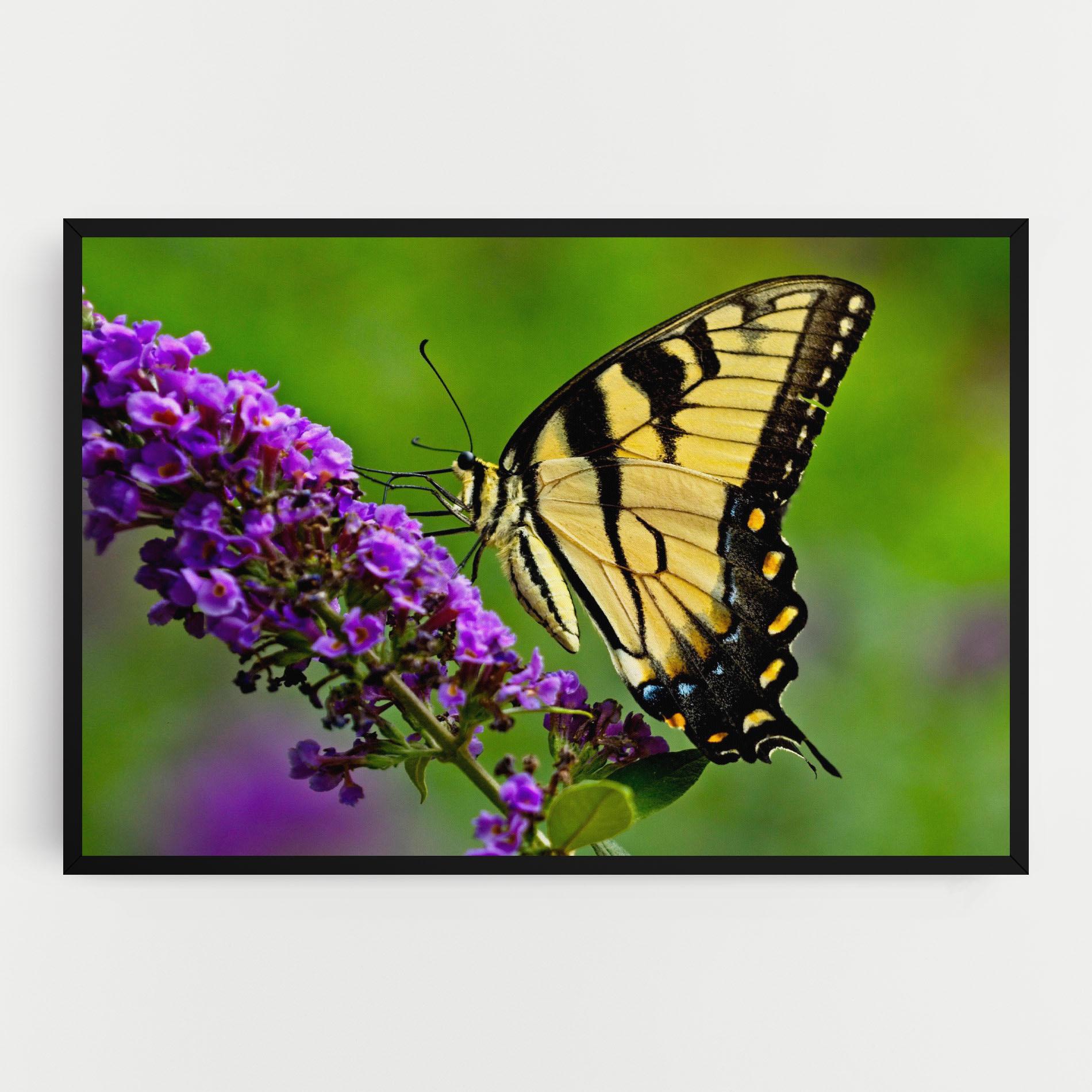 Leinwandbild Cream Wild Butterfly mockup 0