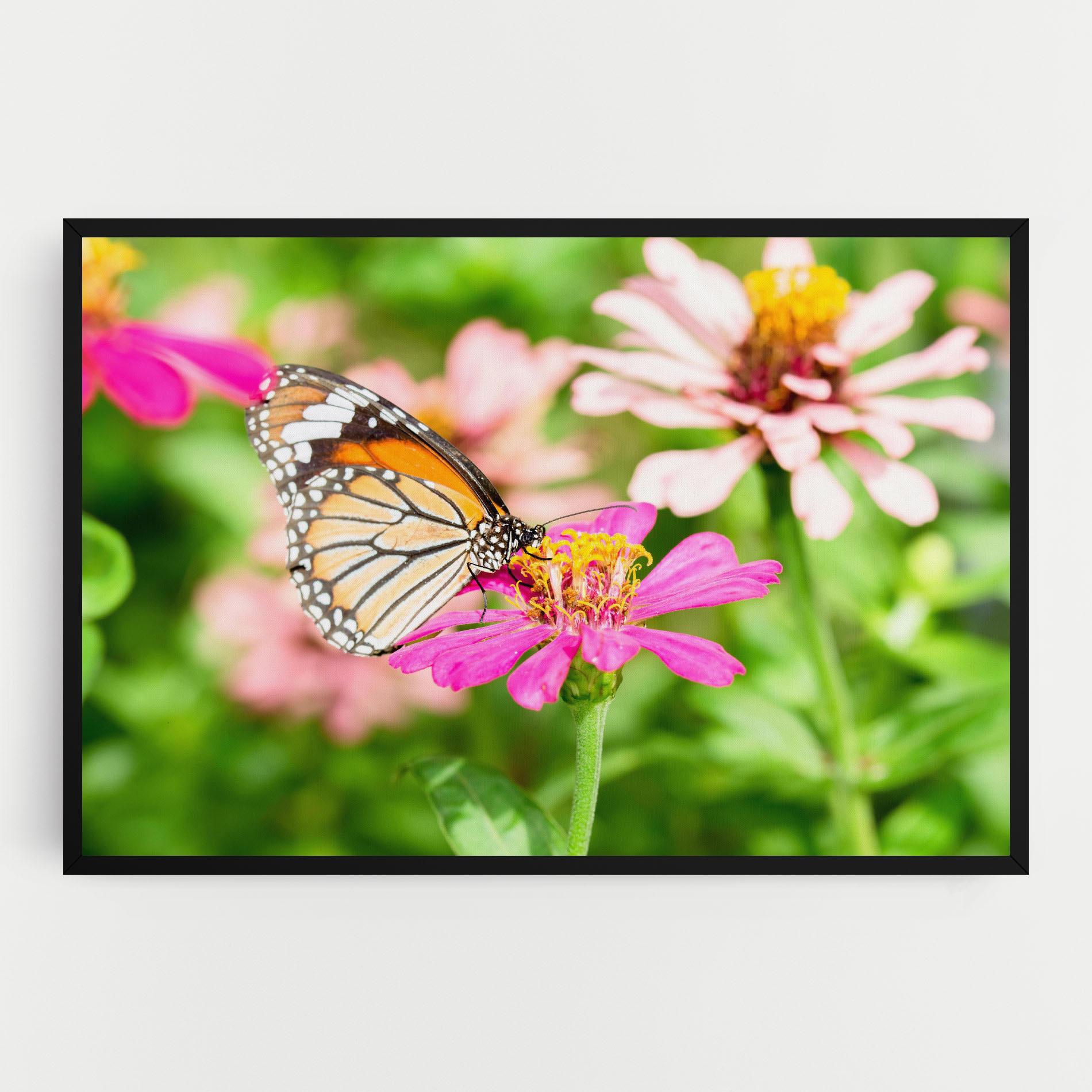 Leinwandbild Daylight Butterfly mockup 0