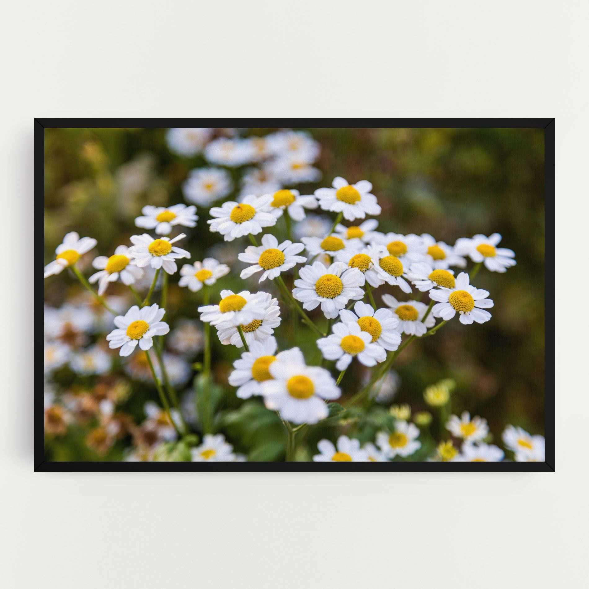 Flowers Garden mockup 0