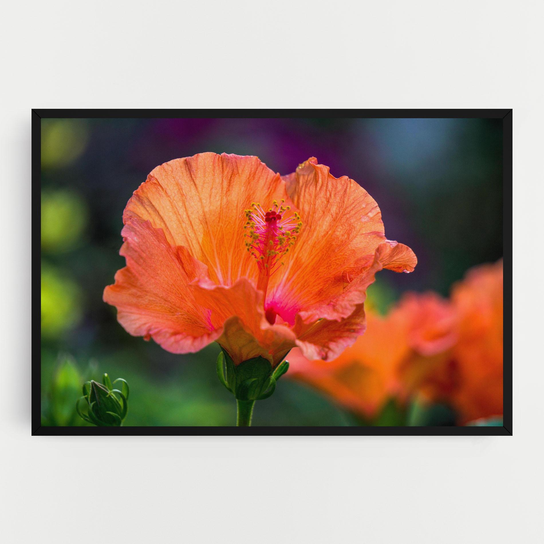 Leinwandbild Orange Wild Flower mockup 0
