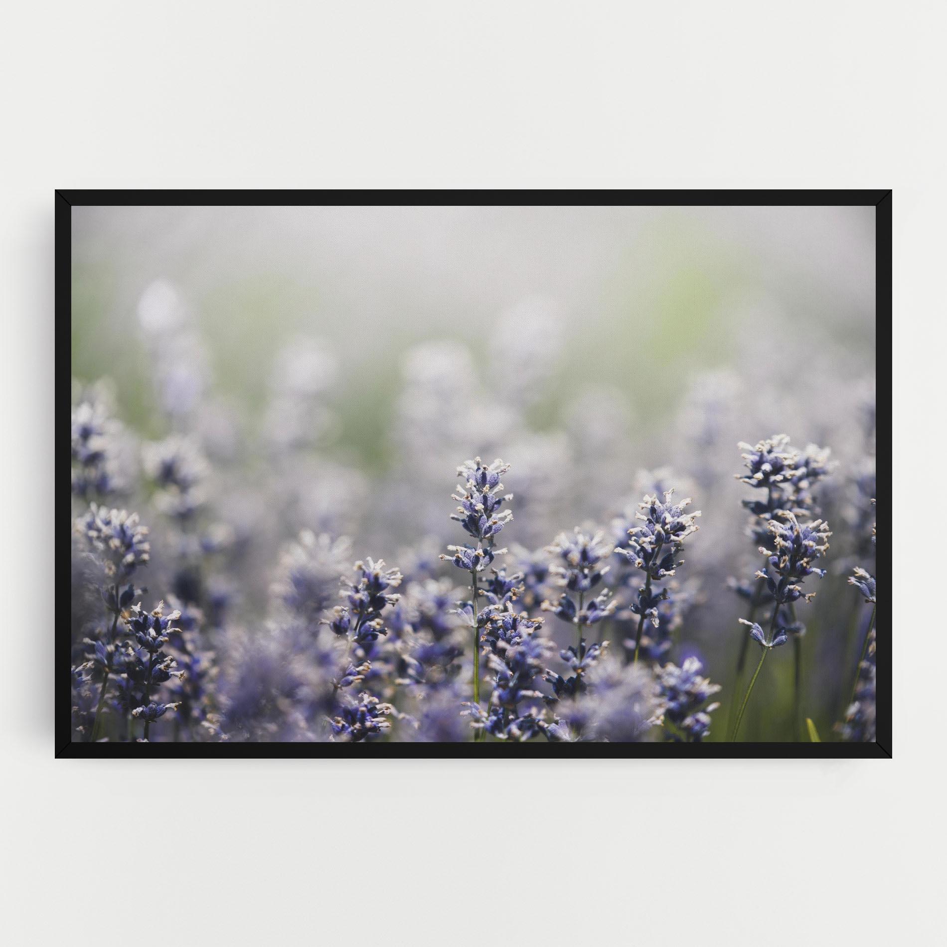 Leinwandbild White Purple Wild mockup 0