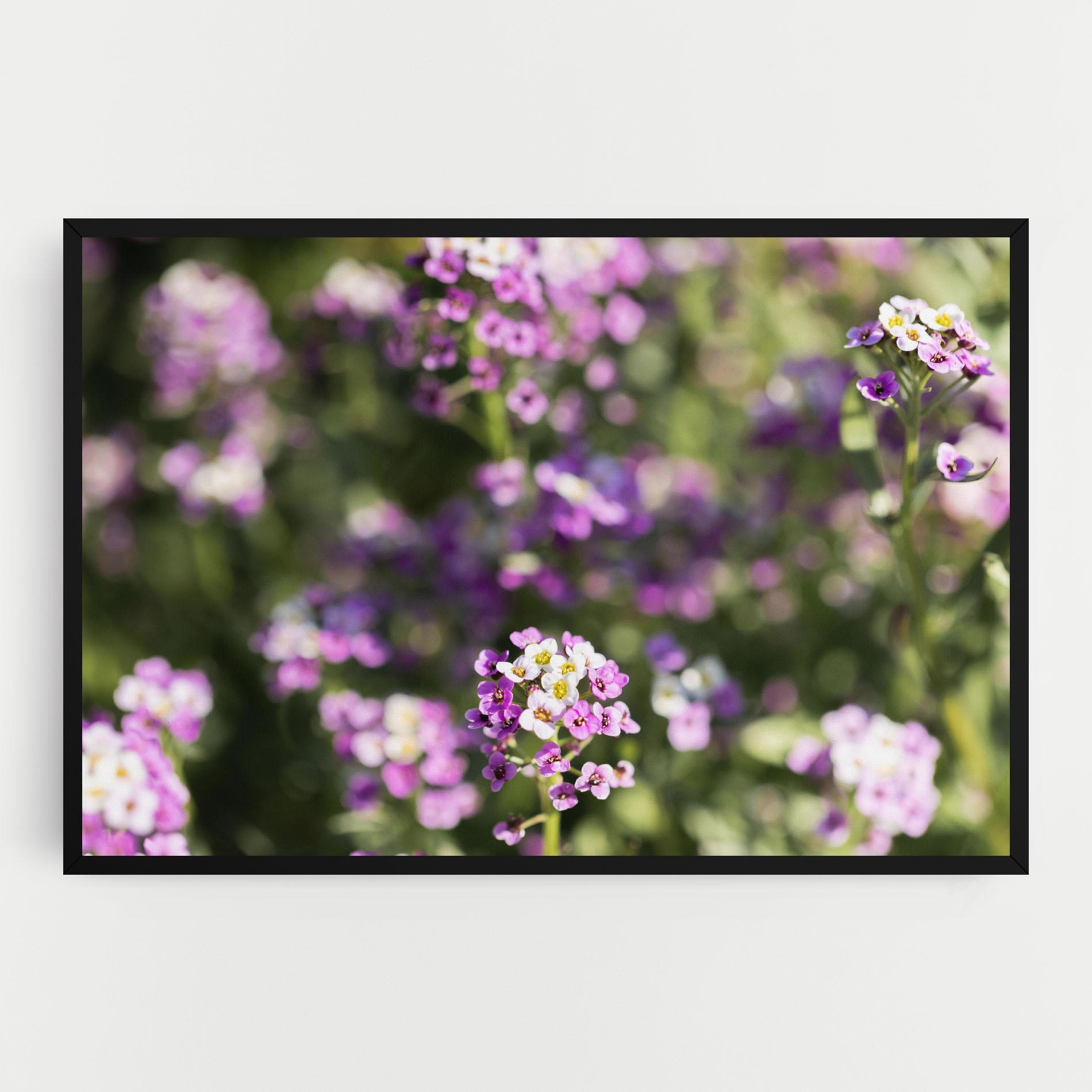 Leinwandbild Wild Purple Field mockup 0