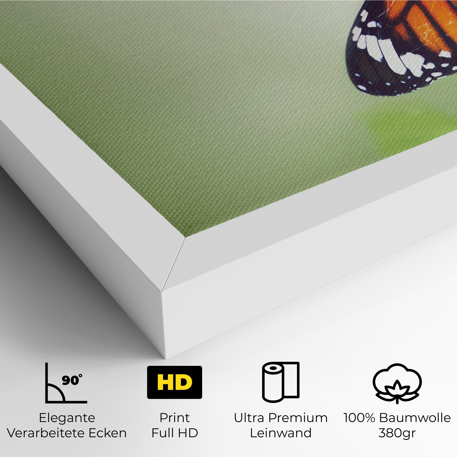 Leinwandbild Butterfly Wild Plant mockup 4