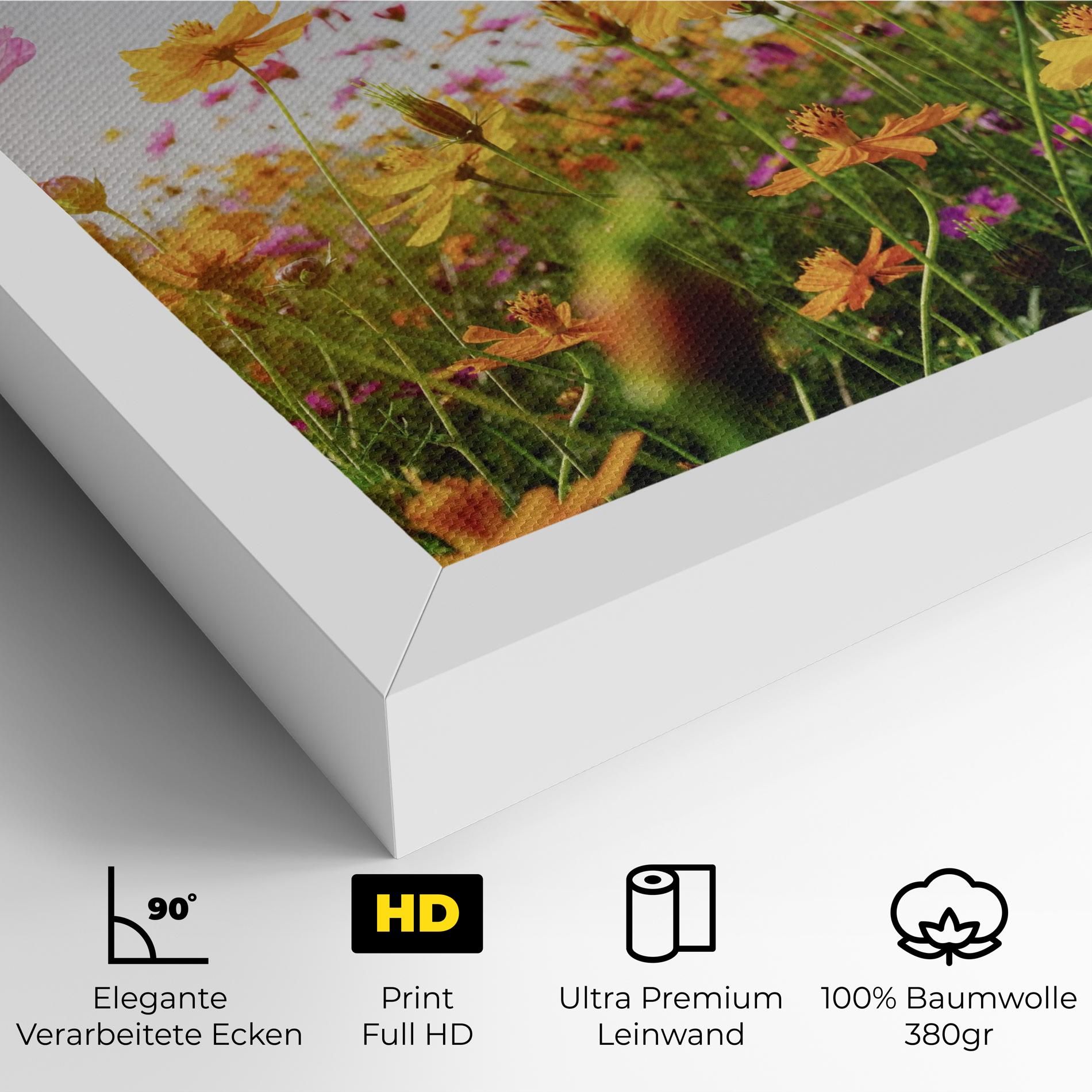 Cosmos Field Sunset mockup 4