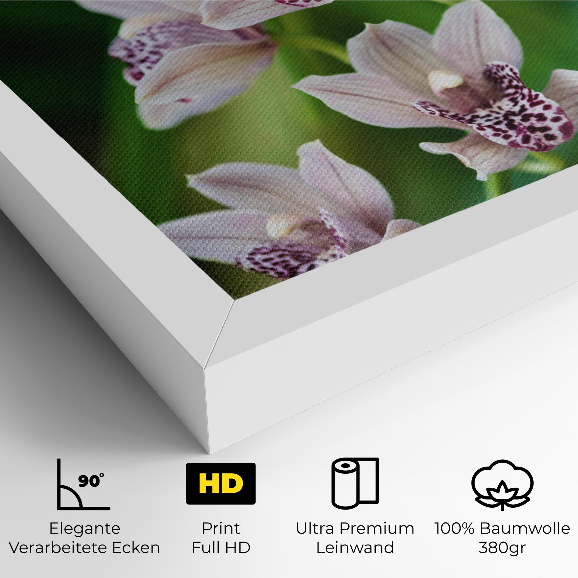 Leinwandbild Cymbidium Orchid mockup 4
