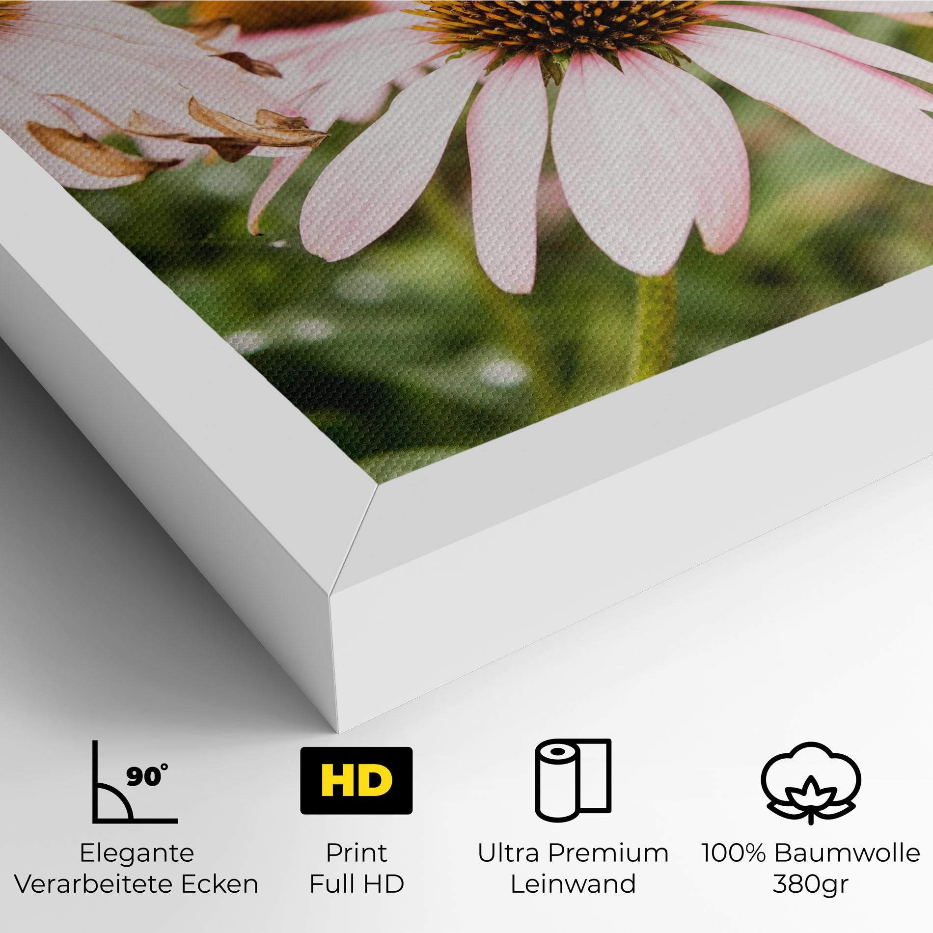 Daylight Bee mockup 4