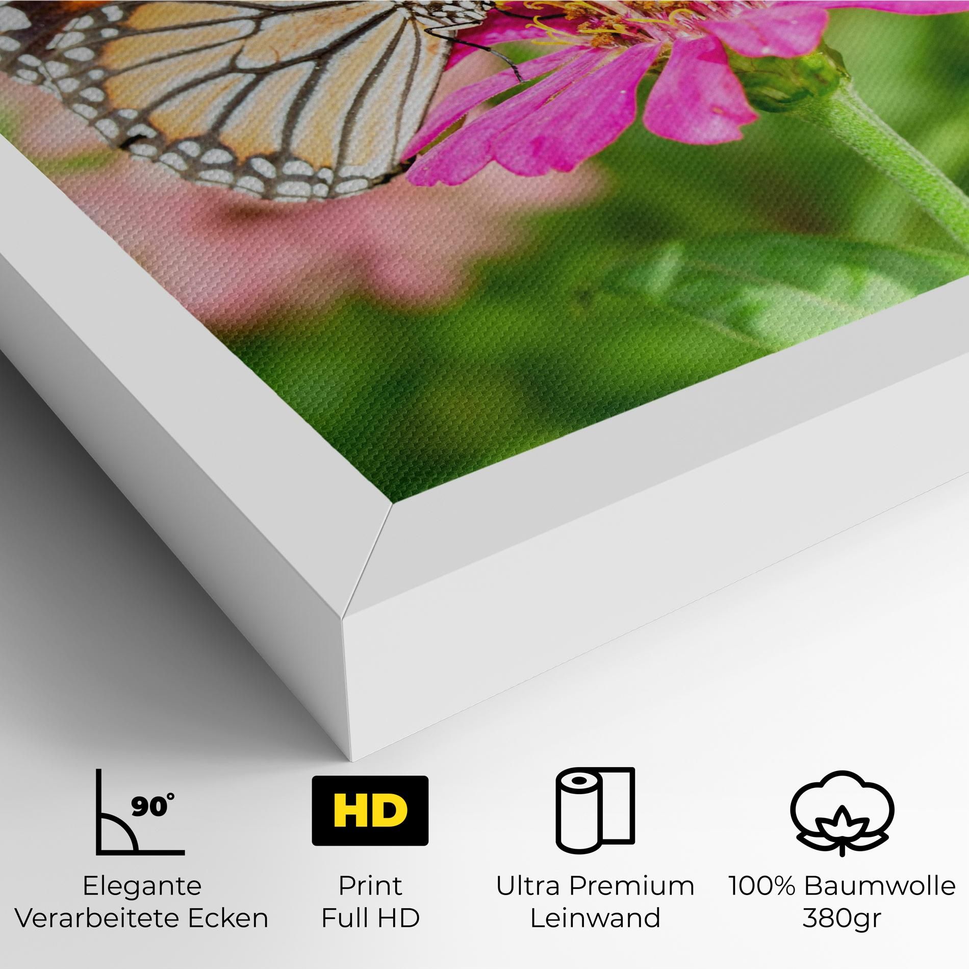 Daylight Butterfly mockup 4