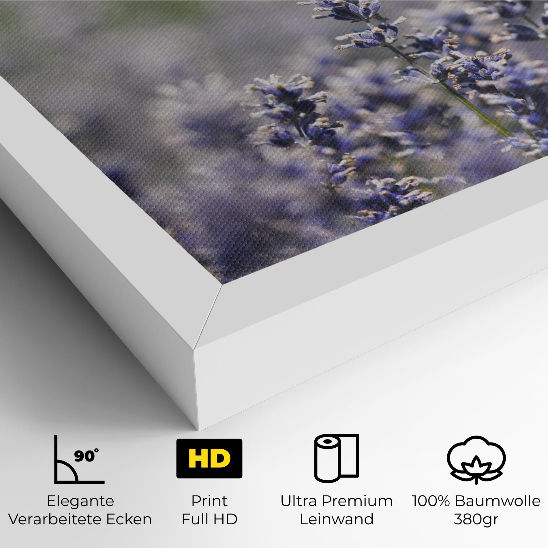 White Purple Wild mockup 4