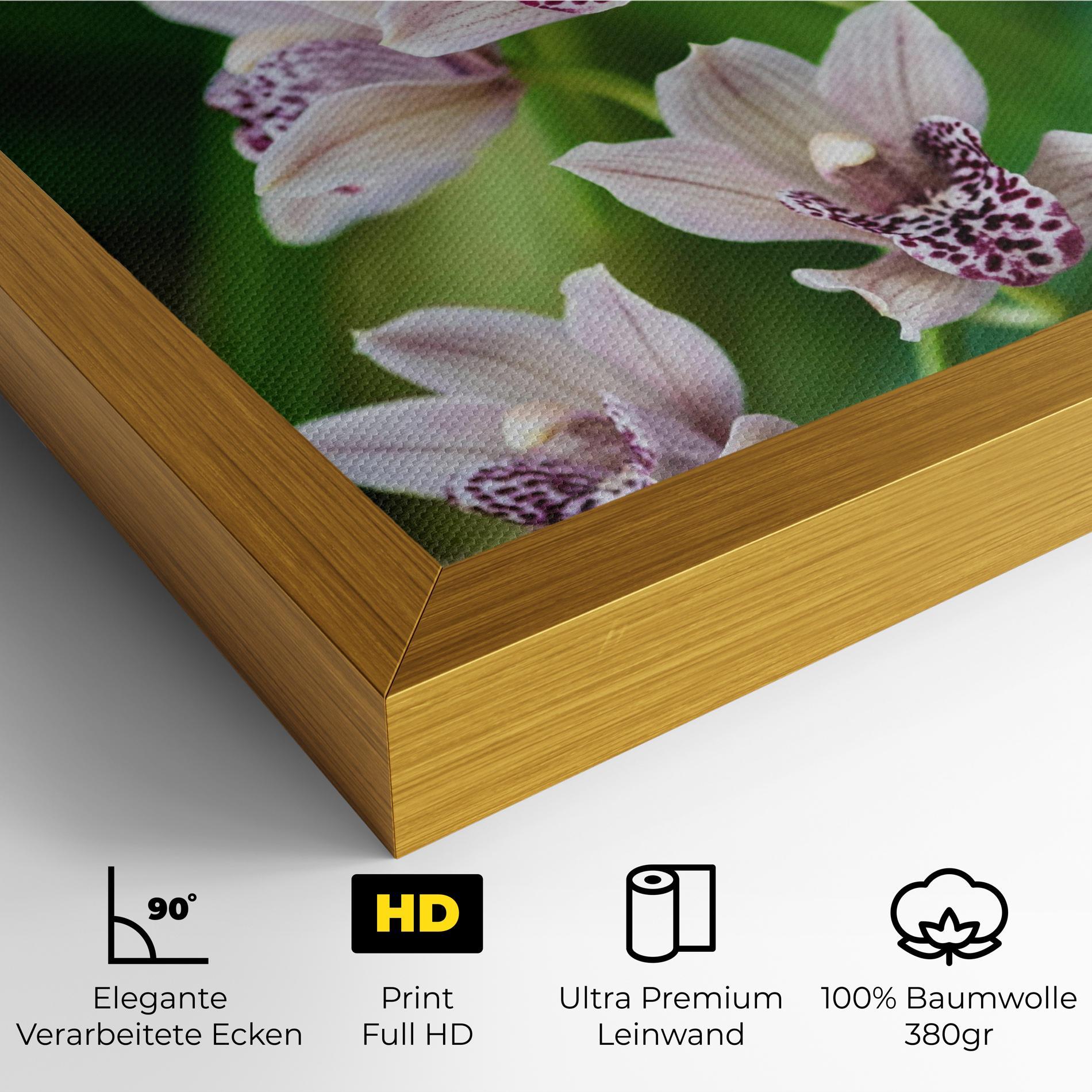 Leinwandbild Cymbidium Orchid mockup 4