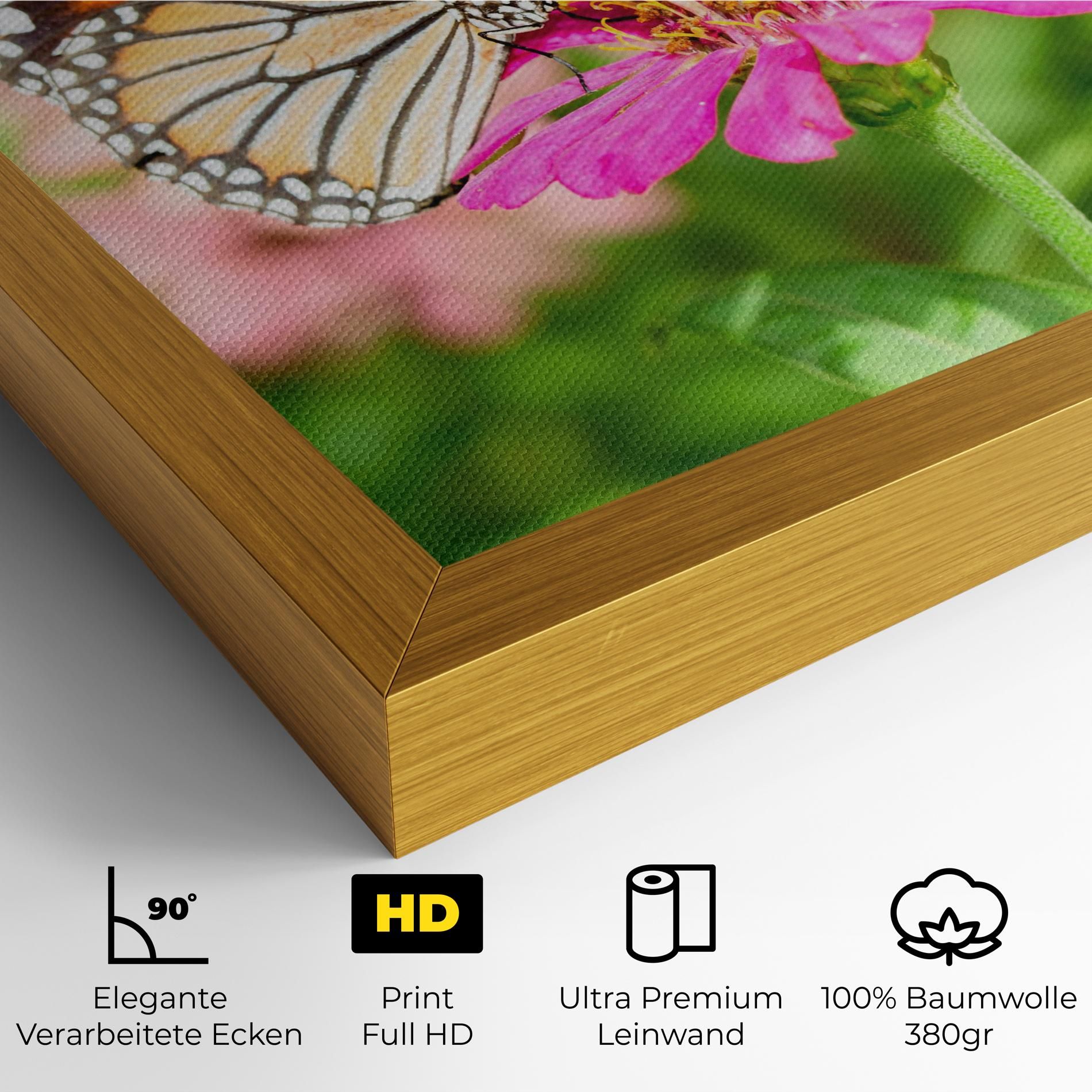 Daylight Butterfly mockup 4