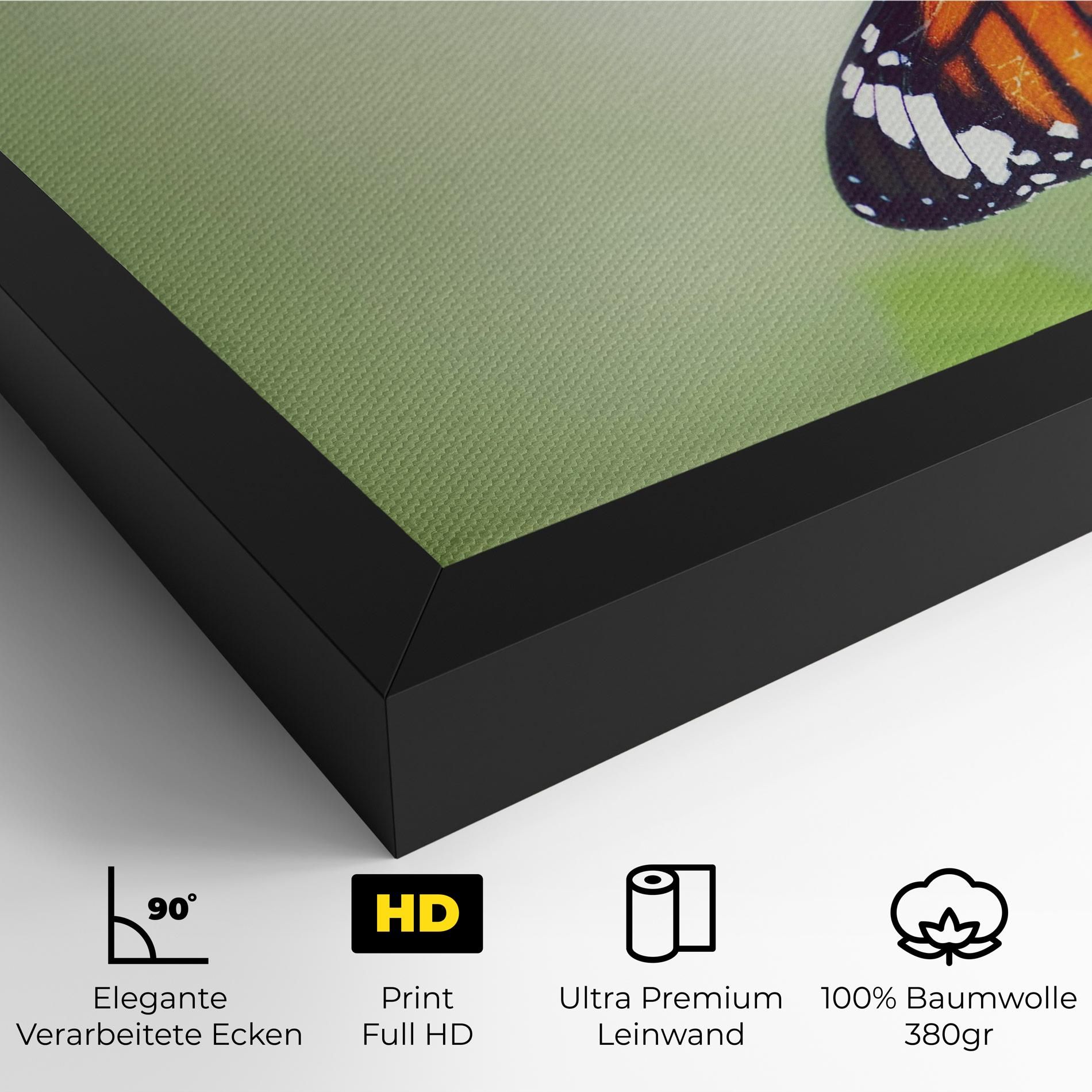 Butterfly Wild Plant mockup 4