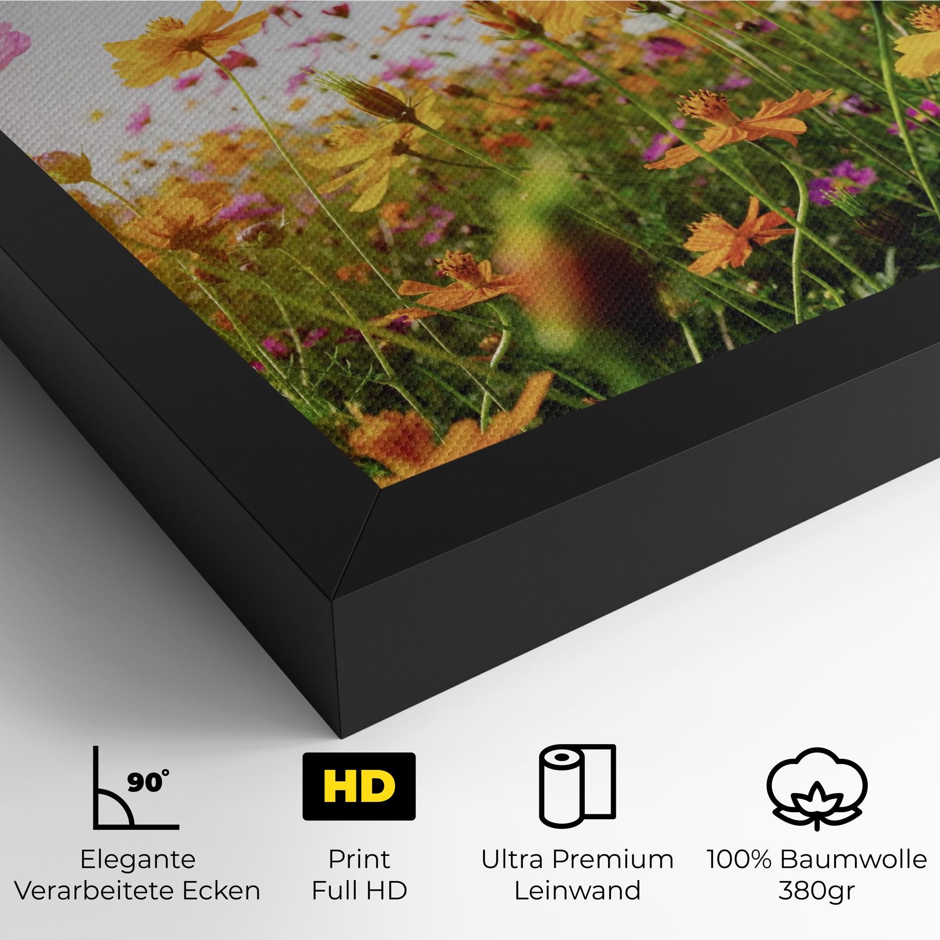 Cosmos Field Sunset mockup 4