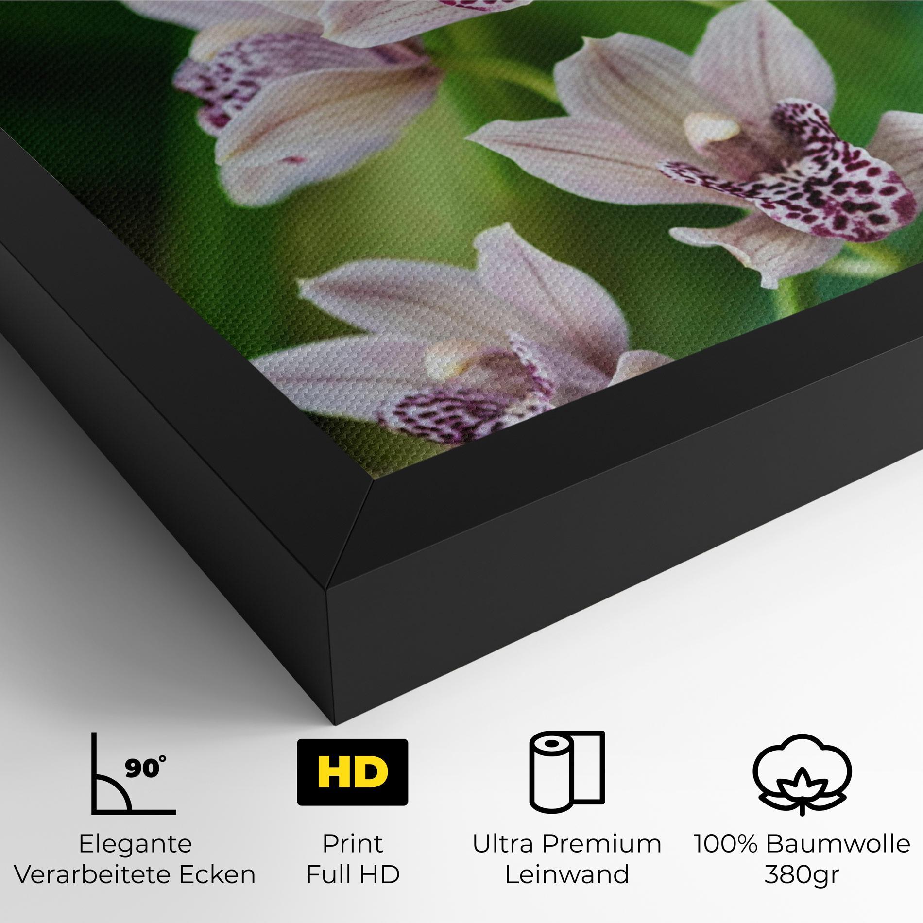 Leinwandbild Cymbidium Orchid mockup 4