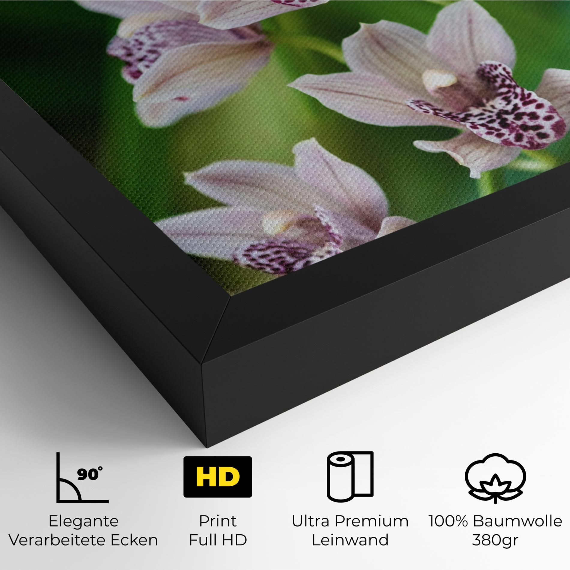 Cymbidium Orchid mockup 4