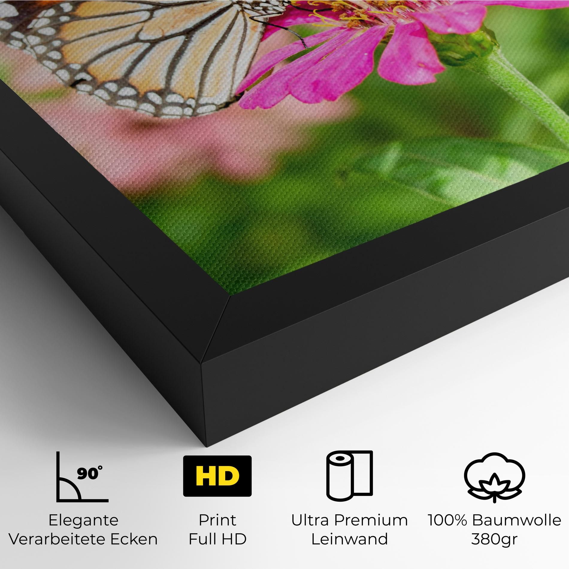 Daylight Butterfly mockup 4