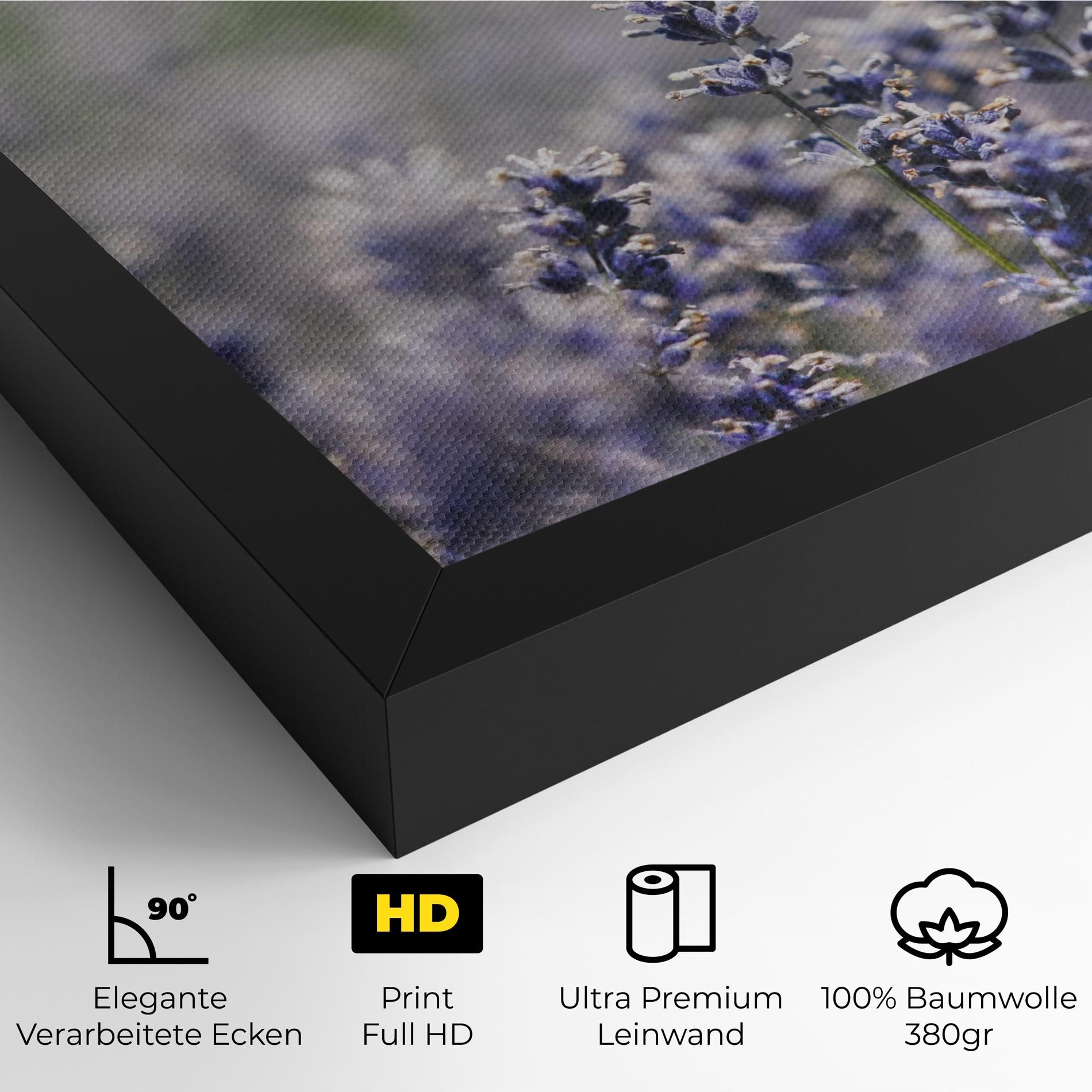 White Purple Wild mockup 4