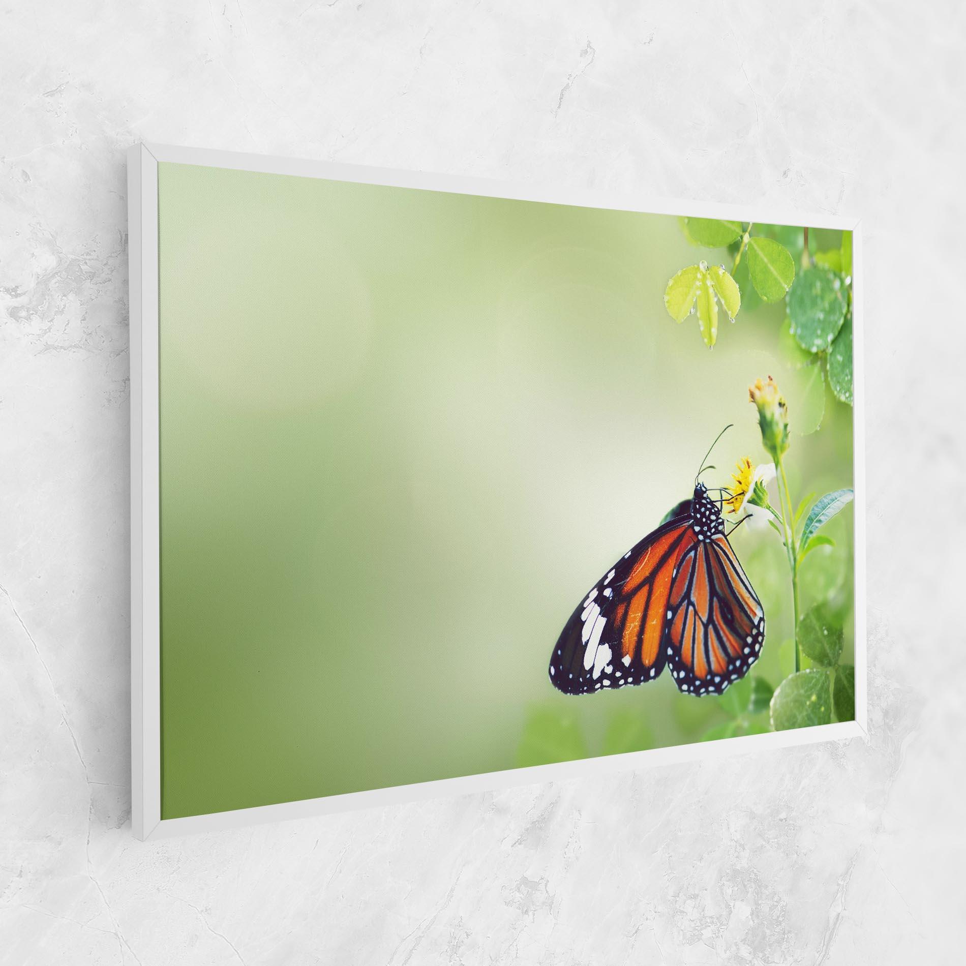 Leinwandbild Butterfly Wild Plant mockup 1