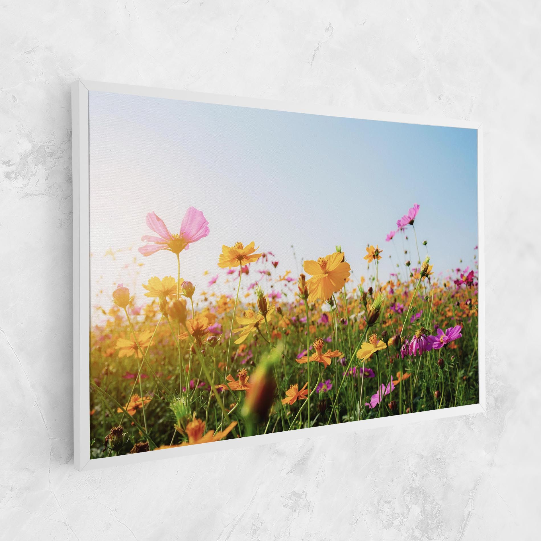 Cosmos Field Sunset mockup 1