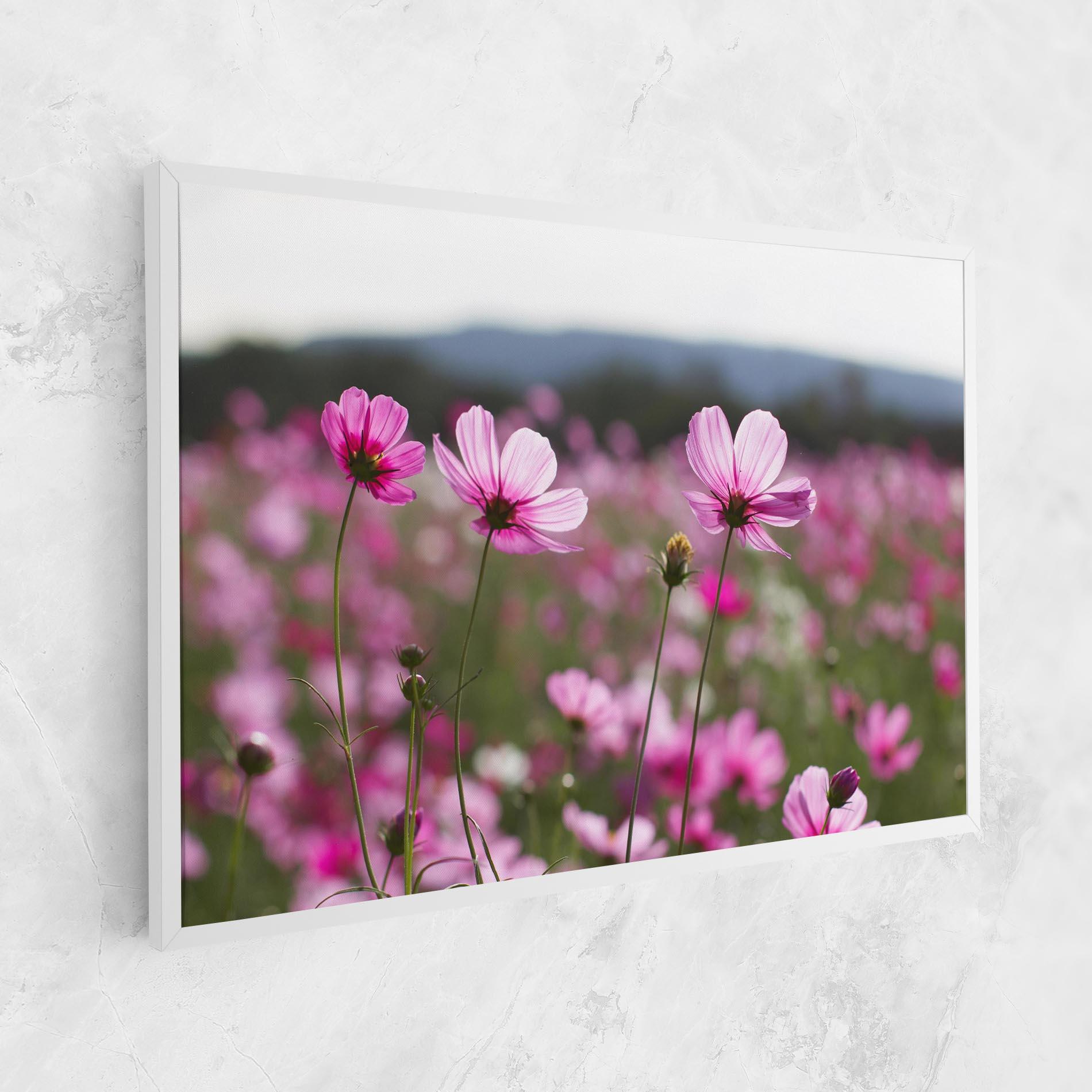Leinwandbild Cosmos Flower mockup 1