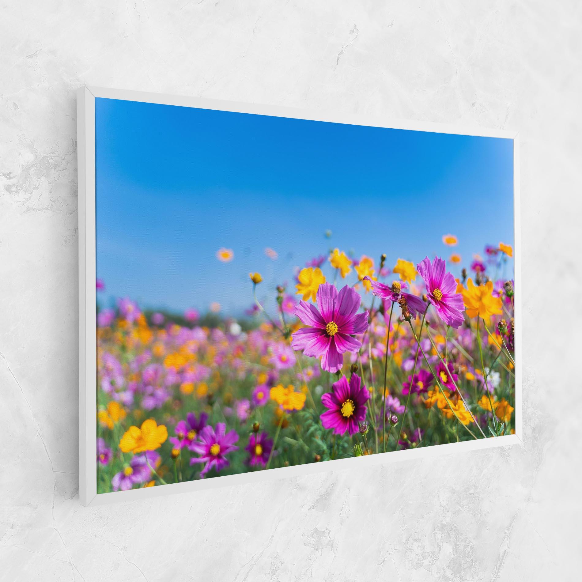 Leinwandbild Cosmos Flowers Grassland mockup 1