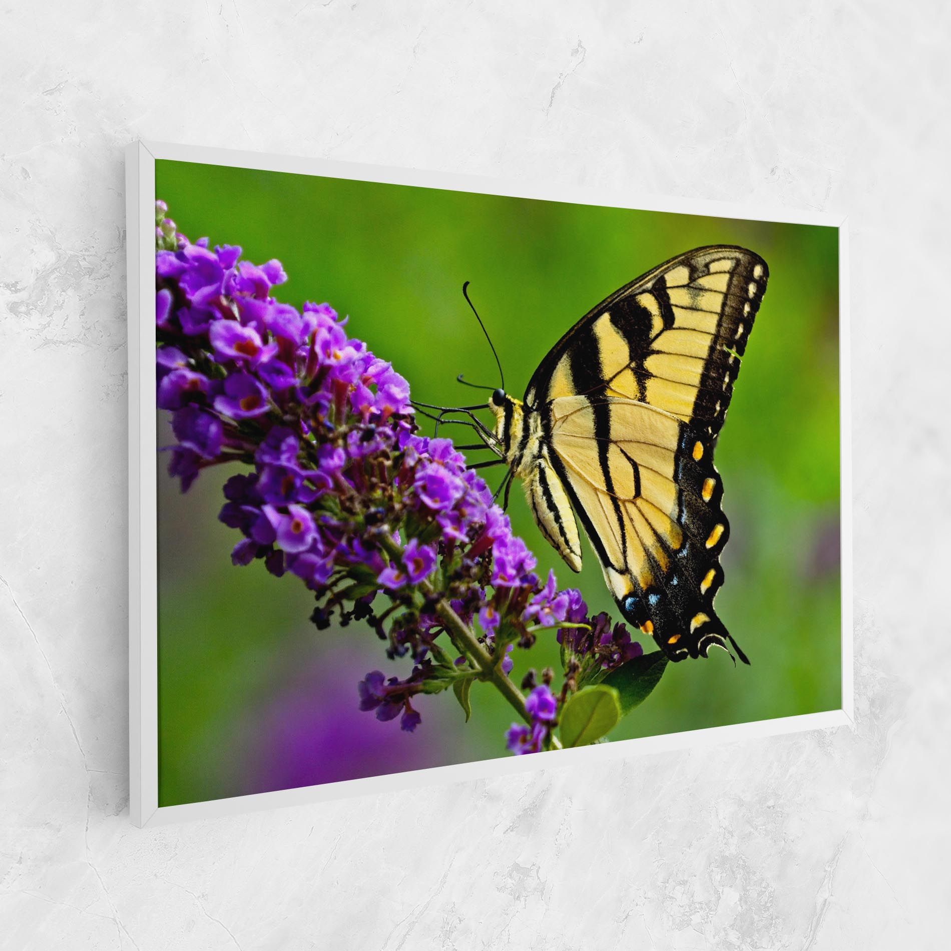 Cream Wild Butterfly mockup 1
