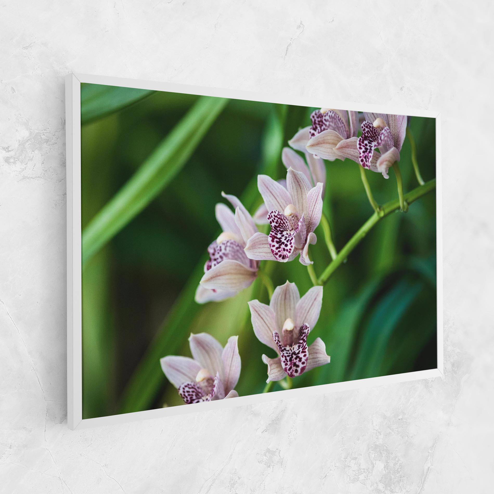 Leinwandbild Cymbidium Orchid mockup 1