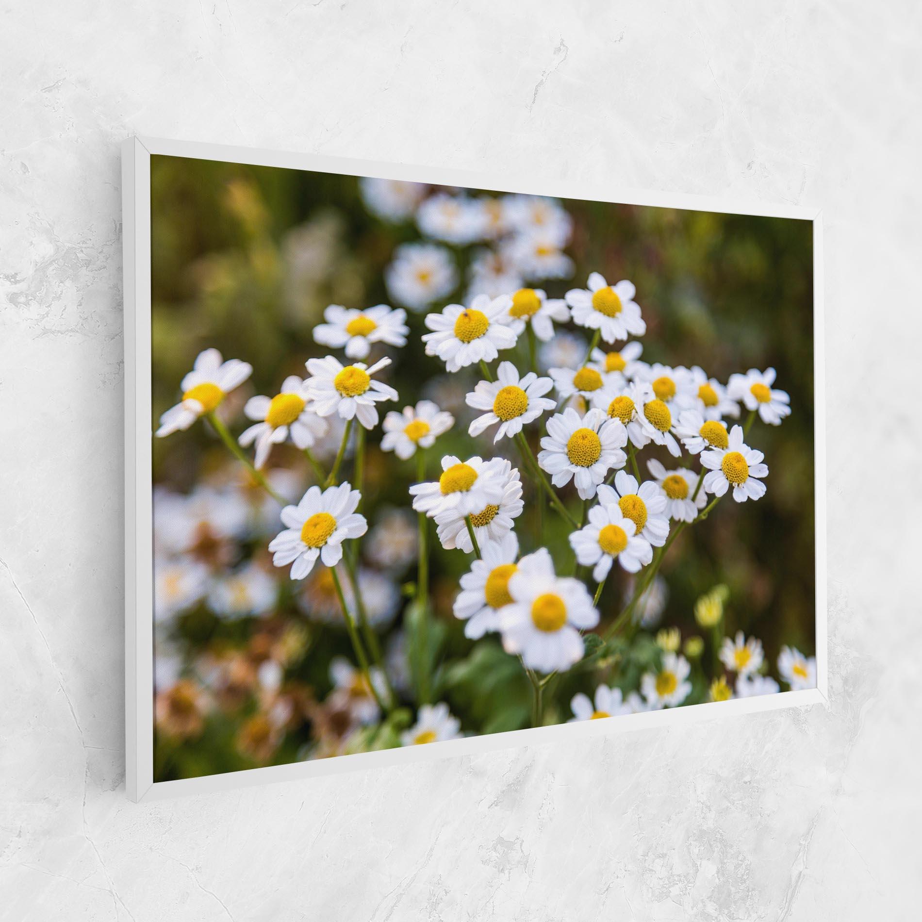Leinwandbild Flowers Garden mockup 1