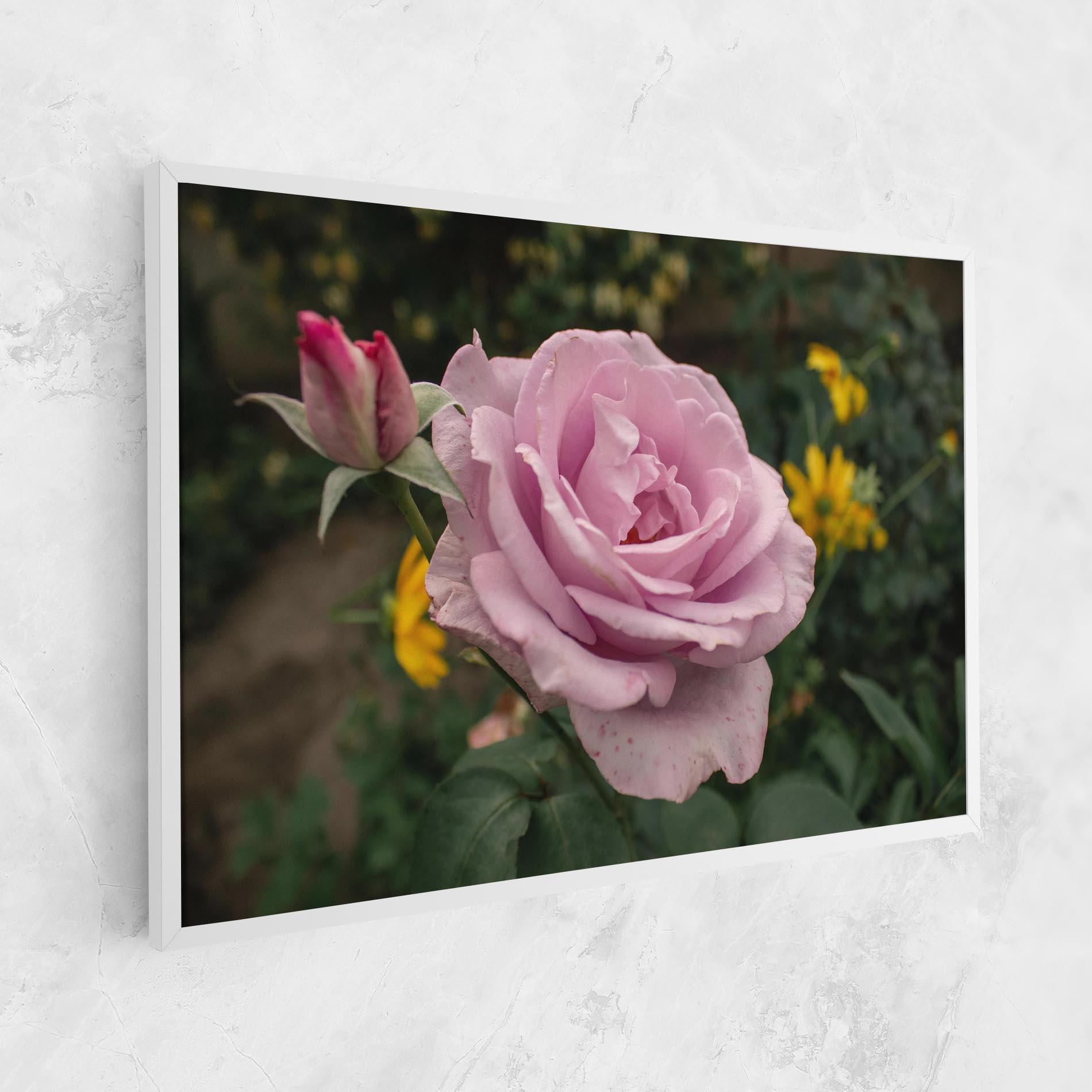 Leinwandbild Garden Pink Rose mockup 1