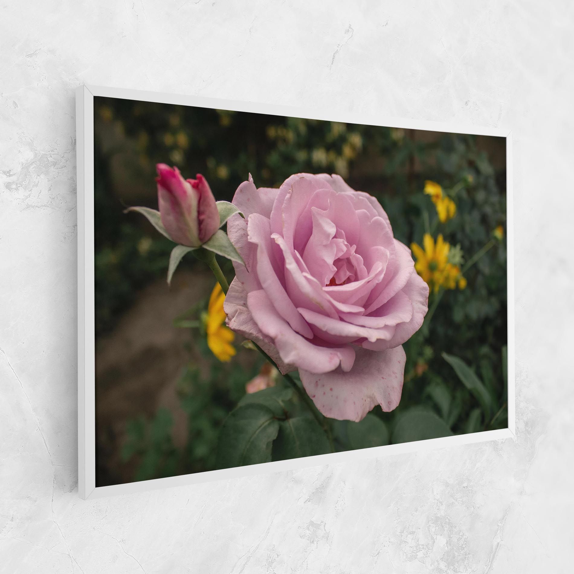 Garden Pink Rose mockup 1