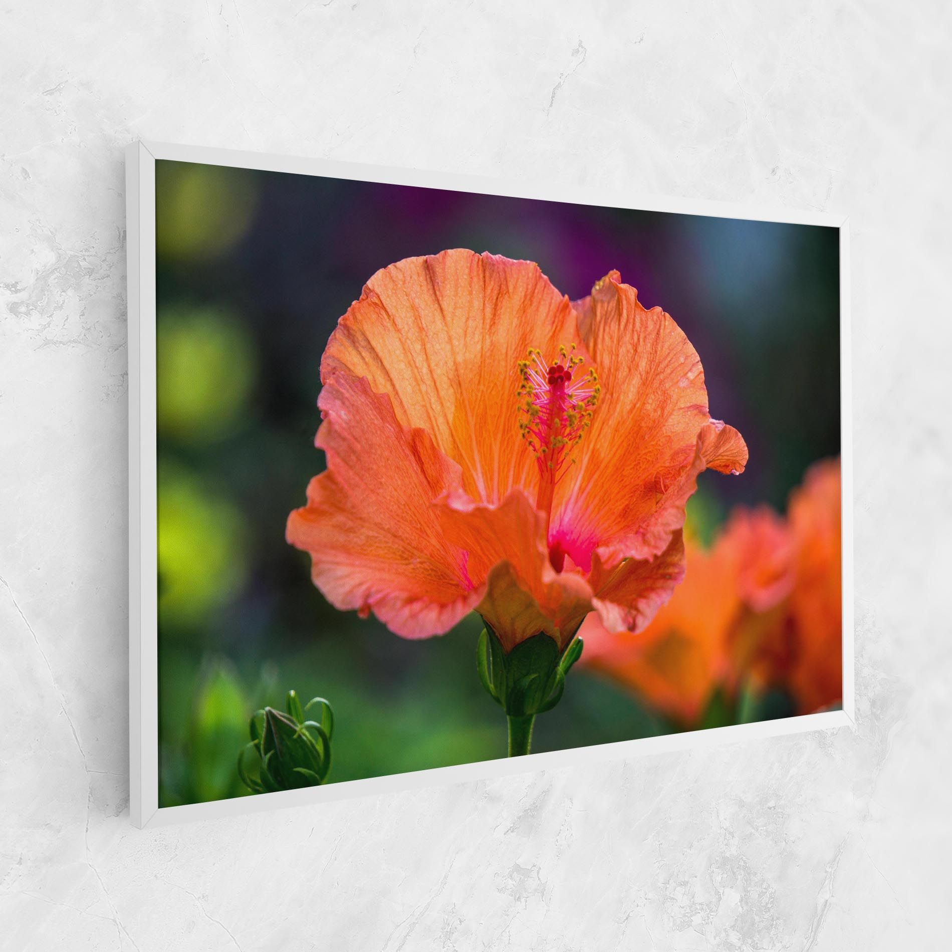 Orange Wild Flower mockup 1