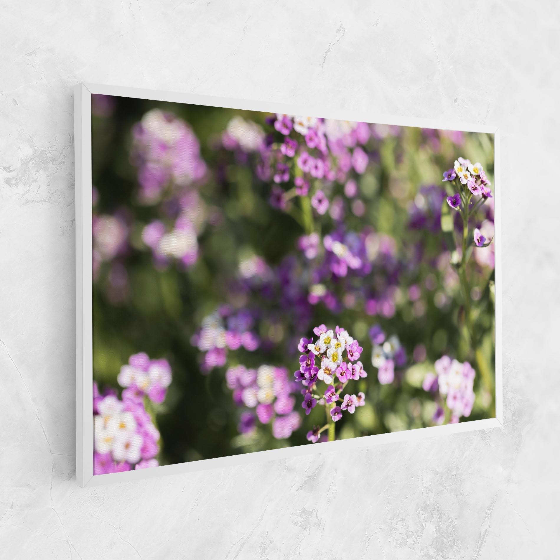 Leinwandbild Wild Purple Field mockup 1