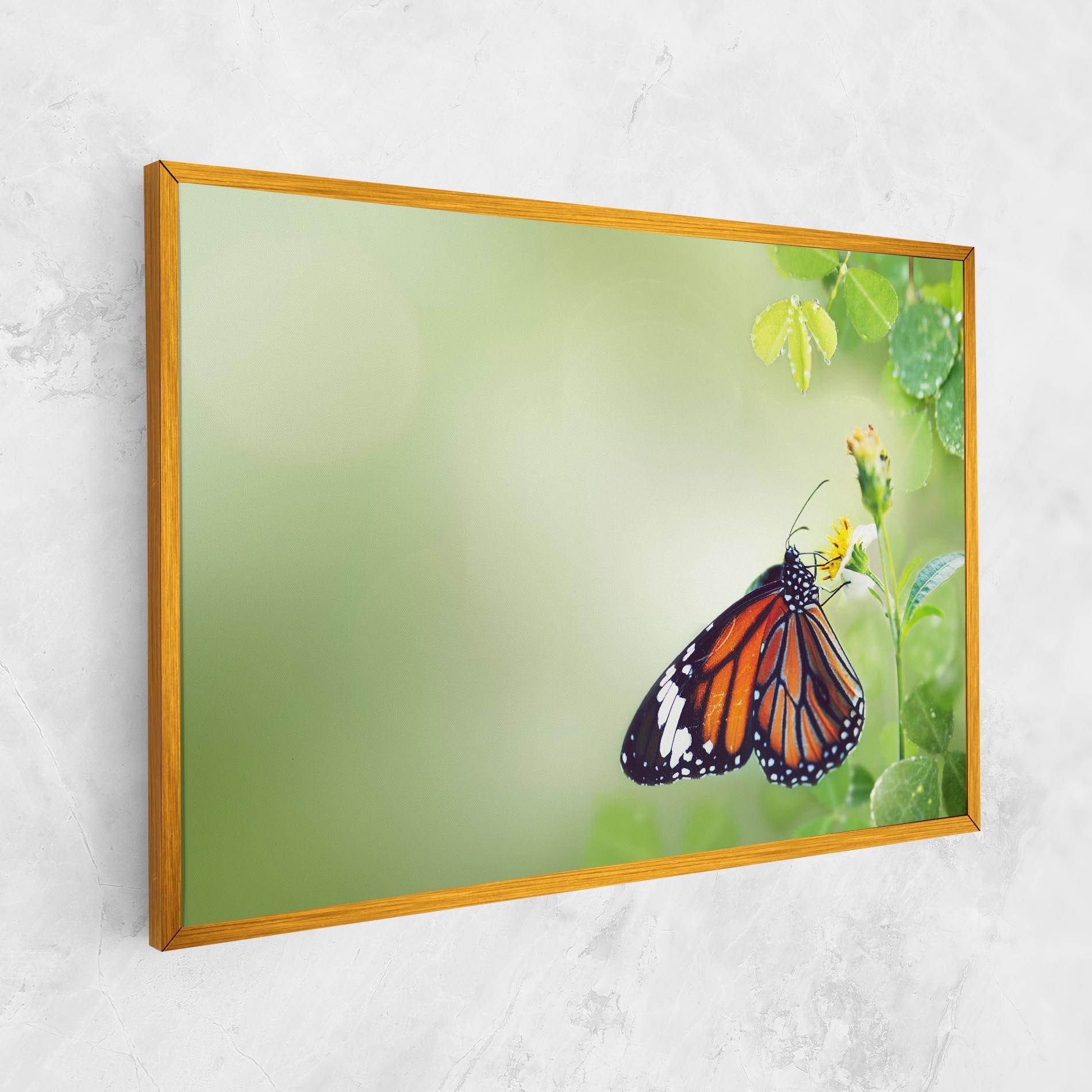 Leinwandbild Butterfly Wild Plant mockup 1