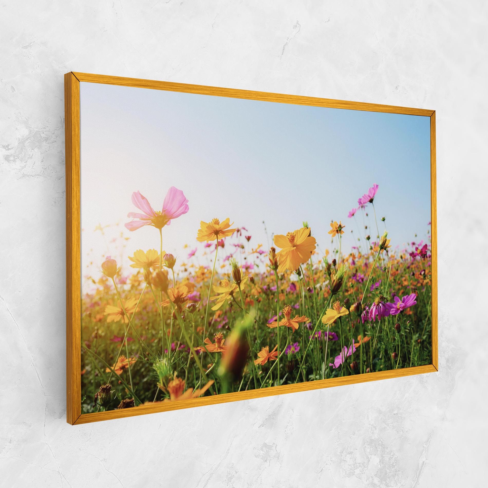 Cosmos Field Sunset mockup 1
