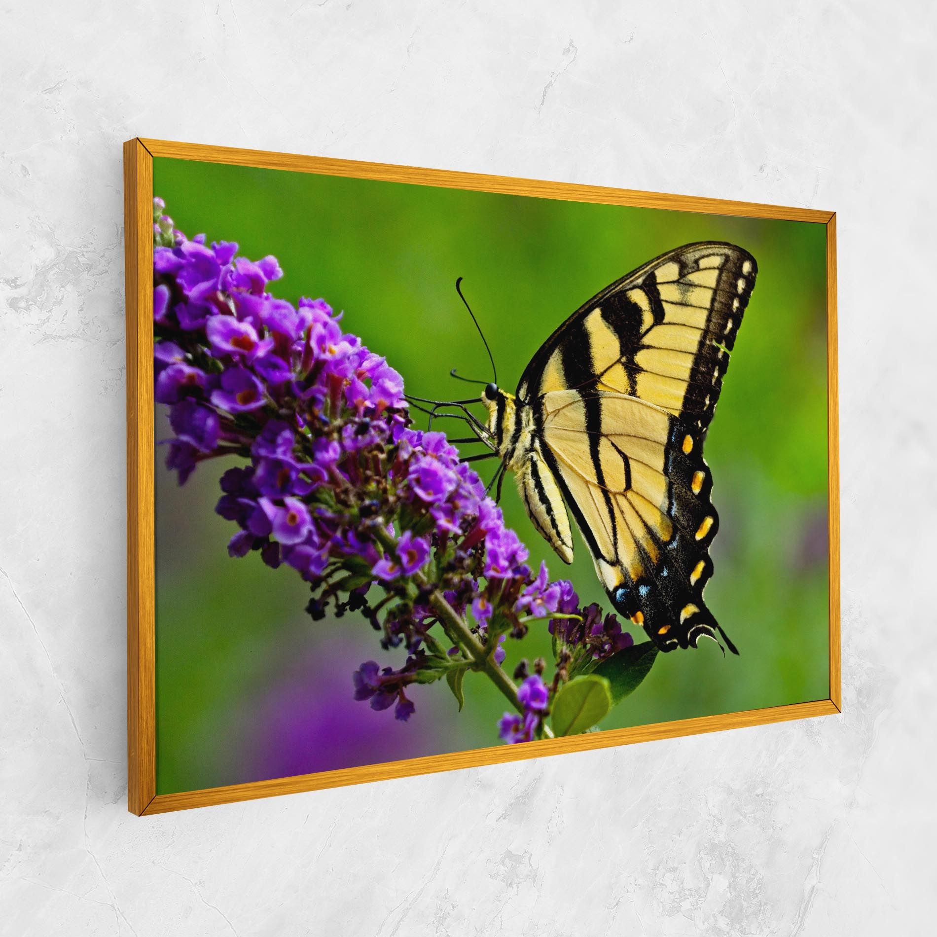 Cream Wild Butterfly mockup 1