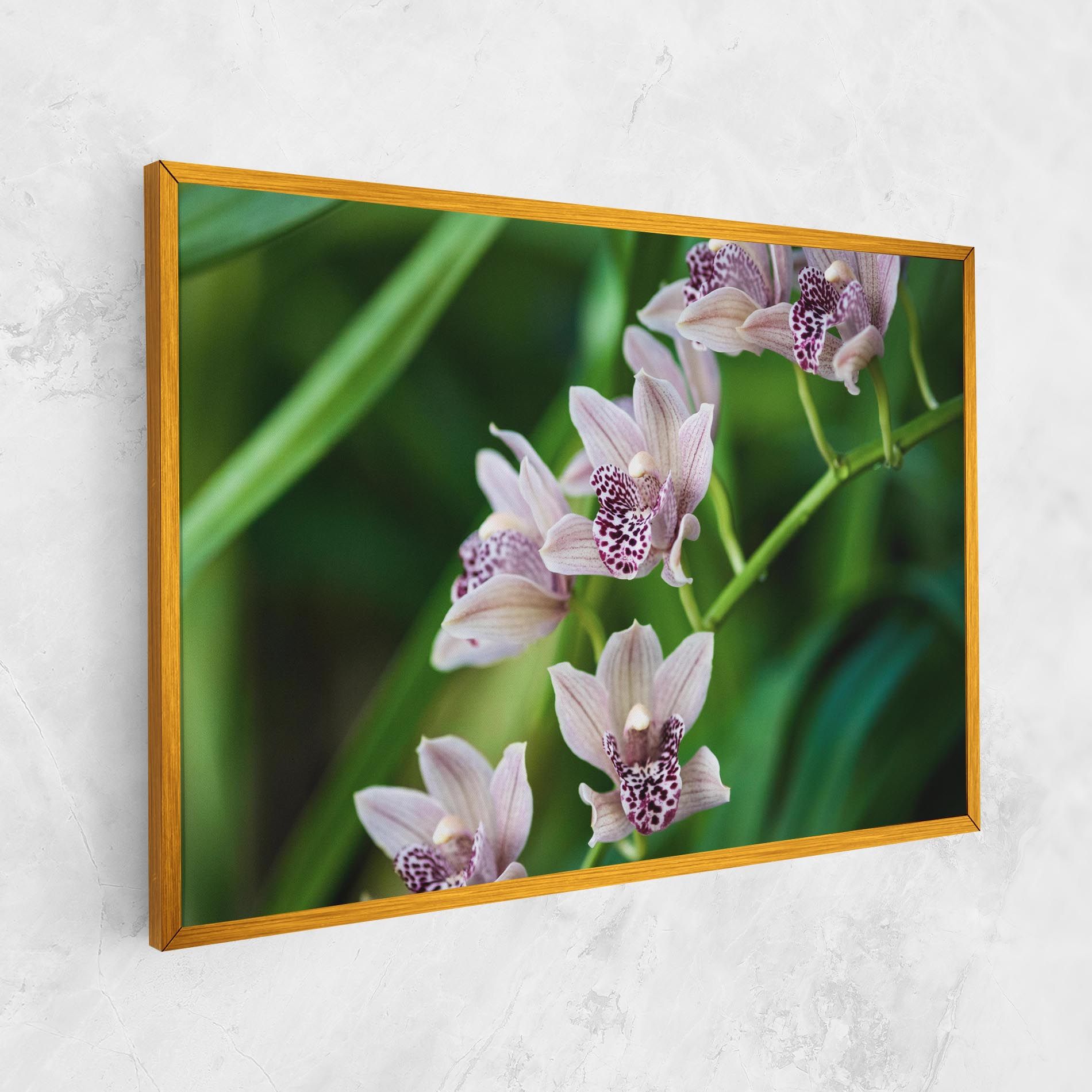 Cymbidium Orchid mockup 1