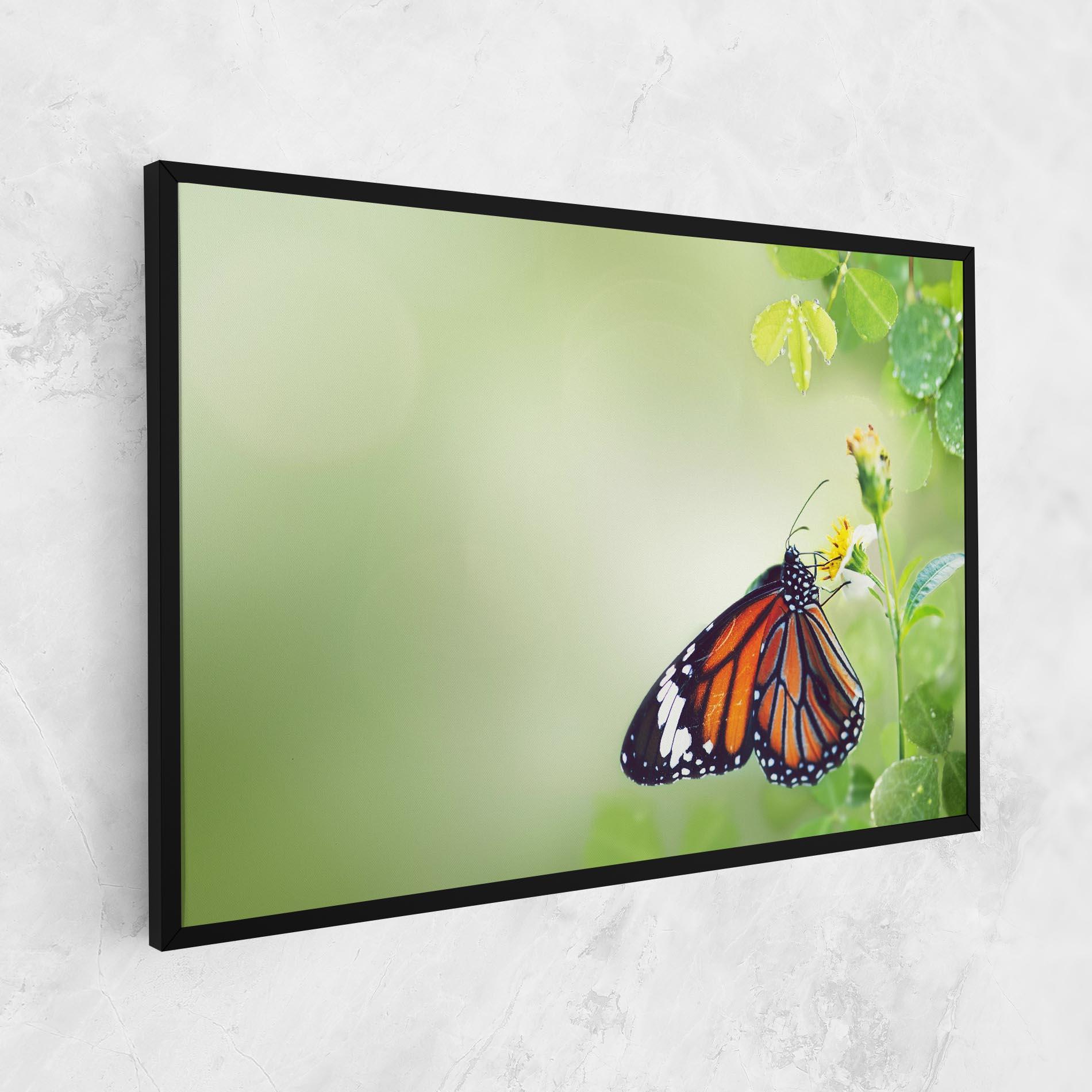 Leinwandbild Butterfly Wild Plant mockup 1
