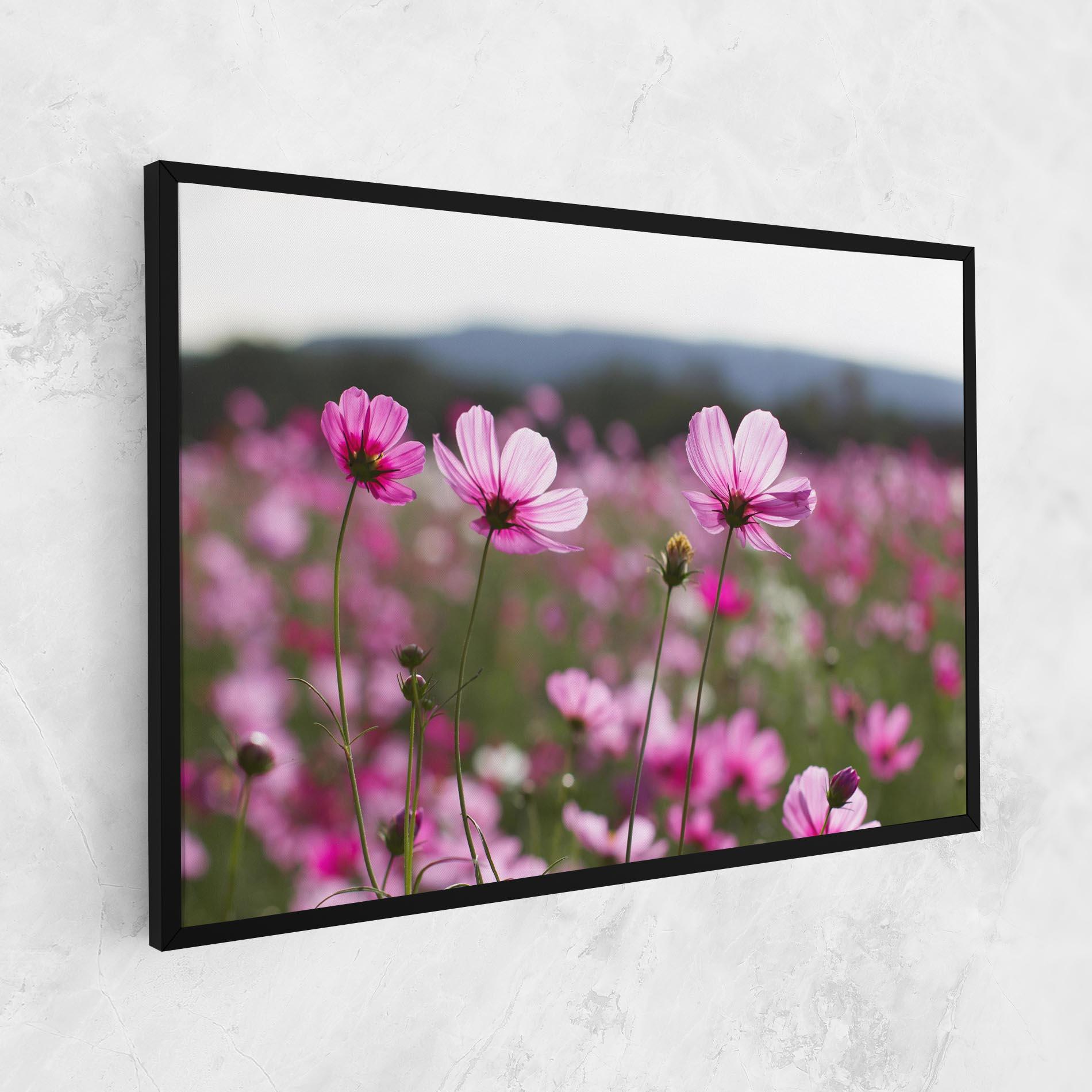 Leinwandbild Cosmos Flower mockup 1