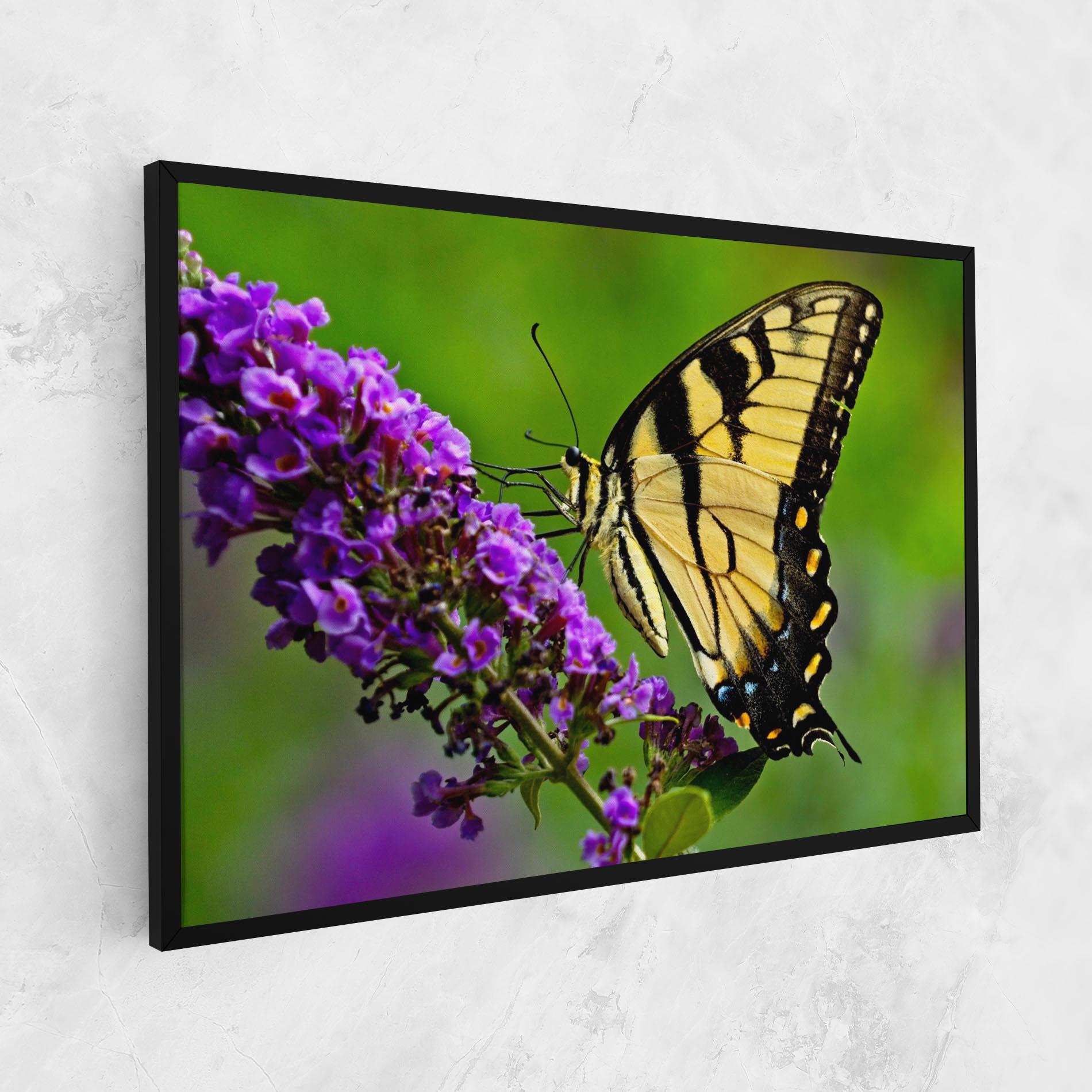 Leinwandbild Cream Wild Butterfly mockup 1